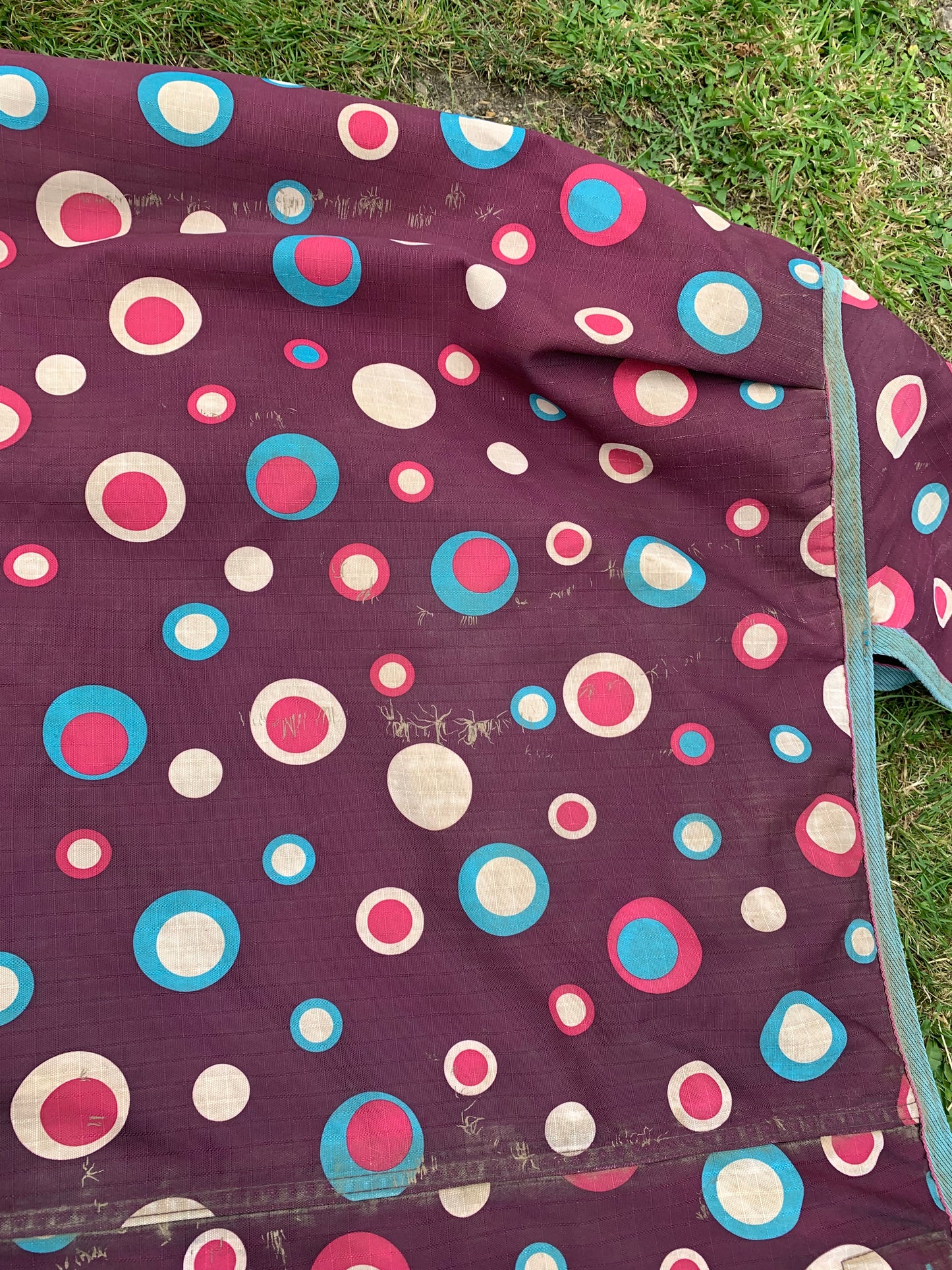 5’9” Shires tempest 180 combo medium weight turnout rug circles print