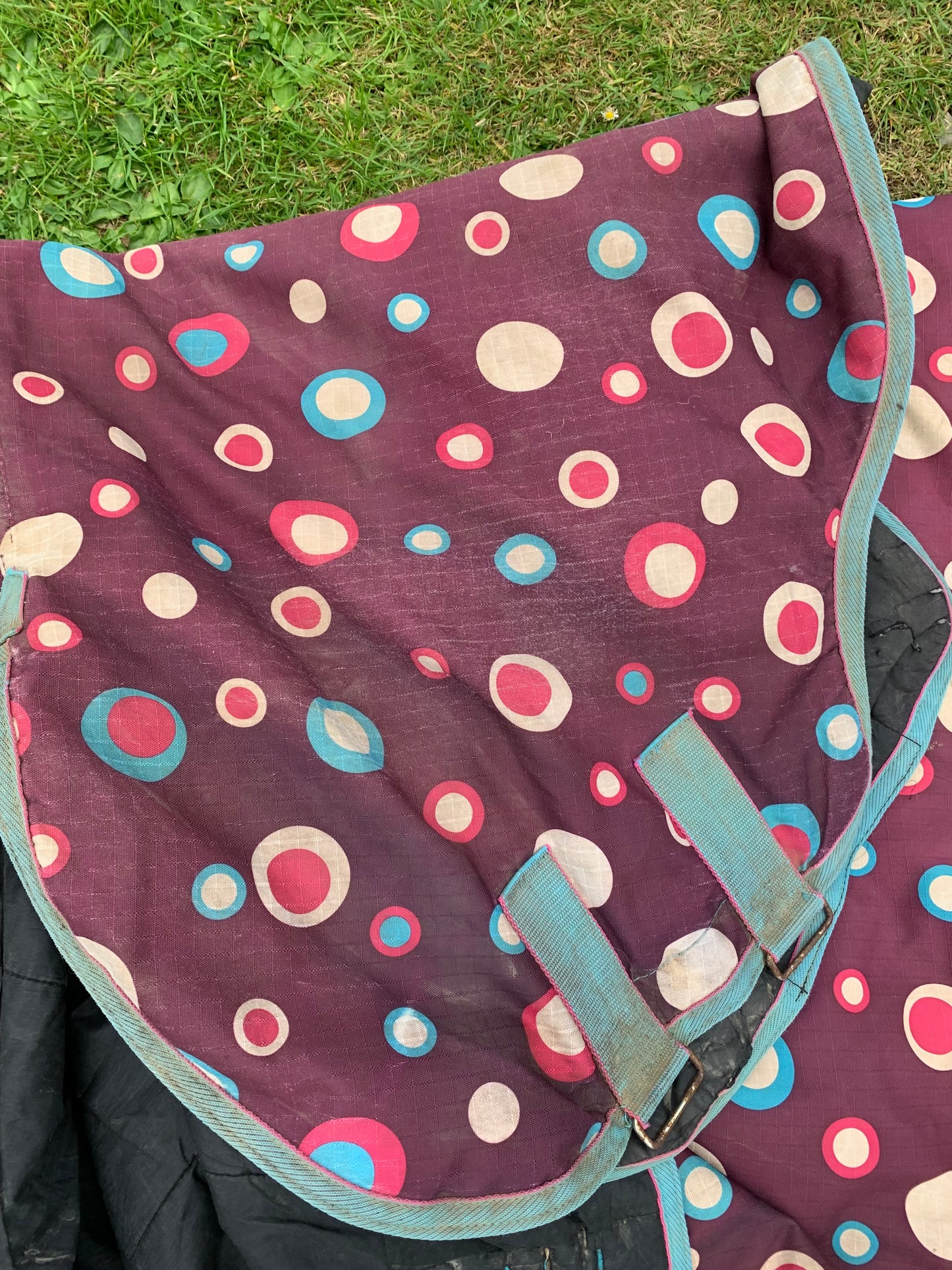 5’9” Shires tempest 180 combo medium weight turnout rug circles print