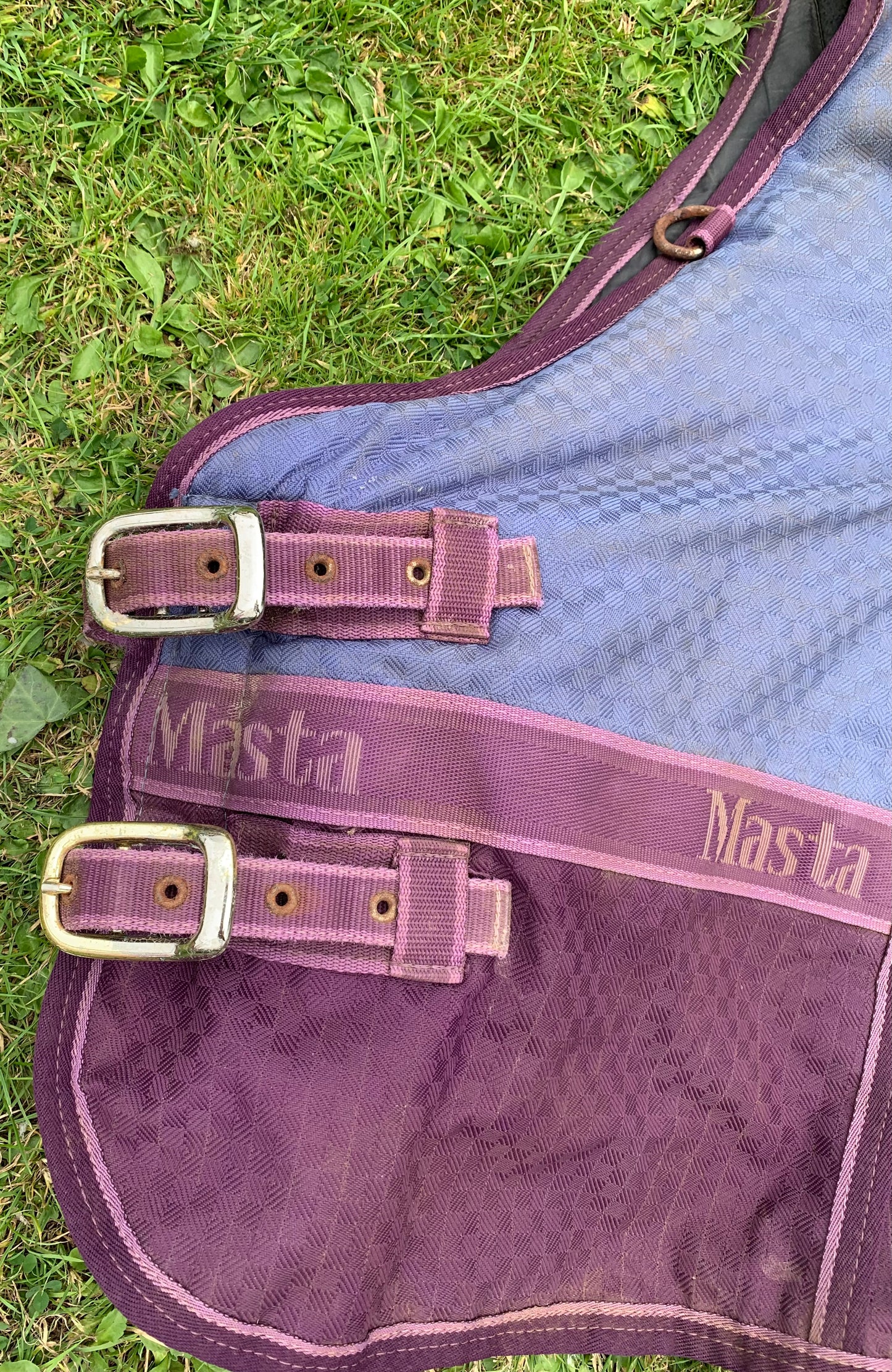 5’3 Masta heavyweight turnout rug