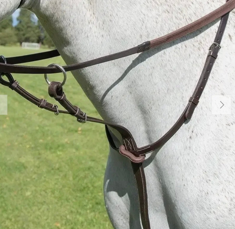 New with tag shires Avignon full size running martingale in Havana