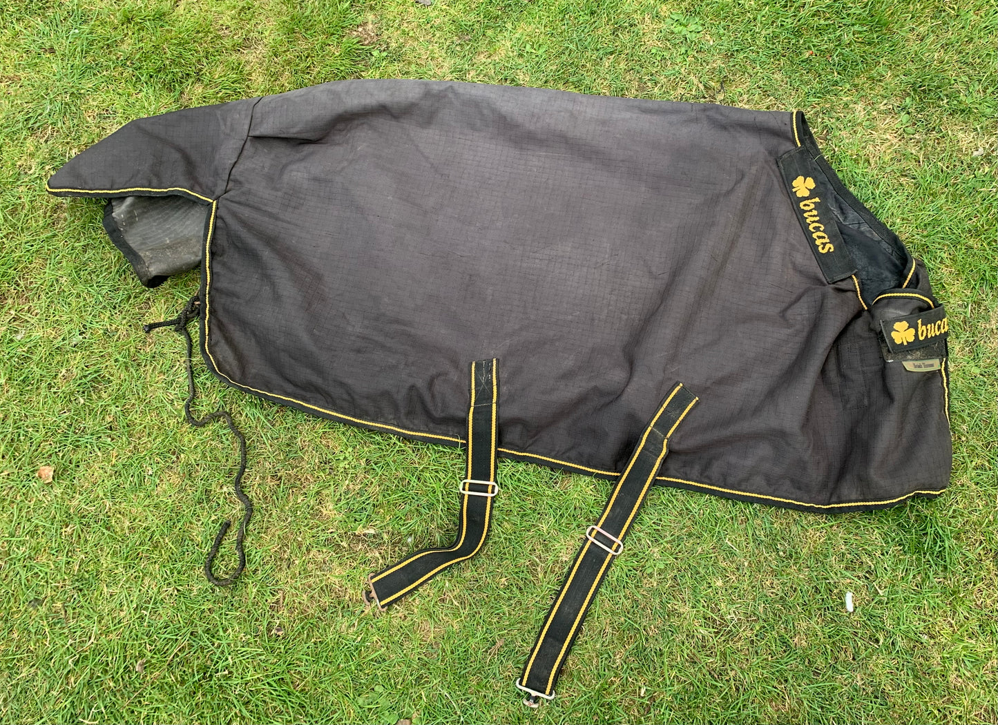Bucas 4’0” Irish turnout 50g black & gold