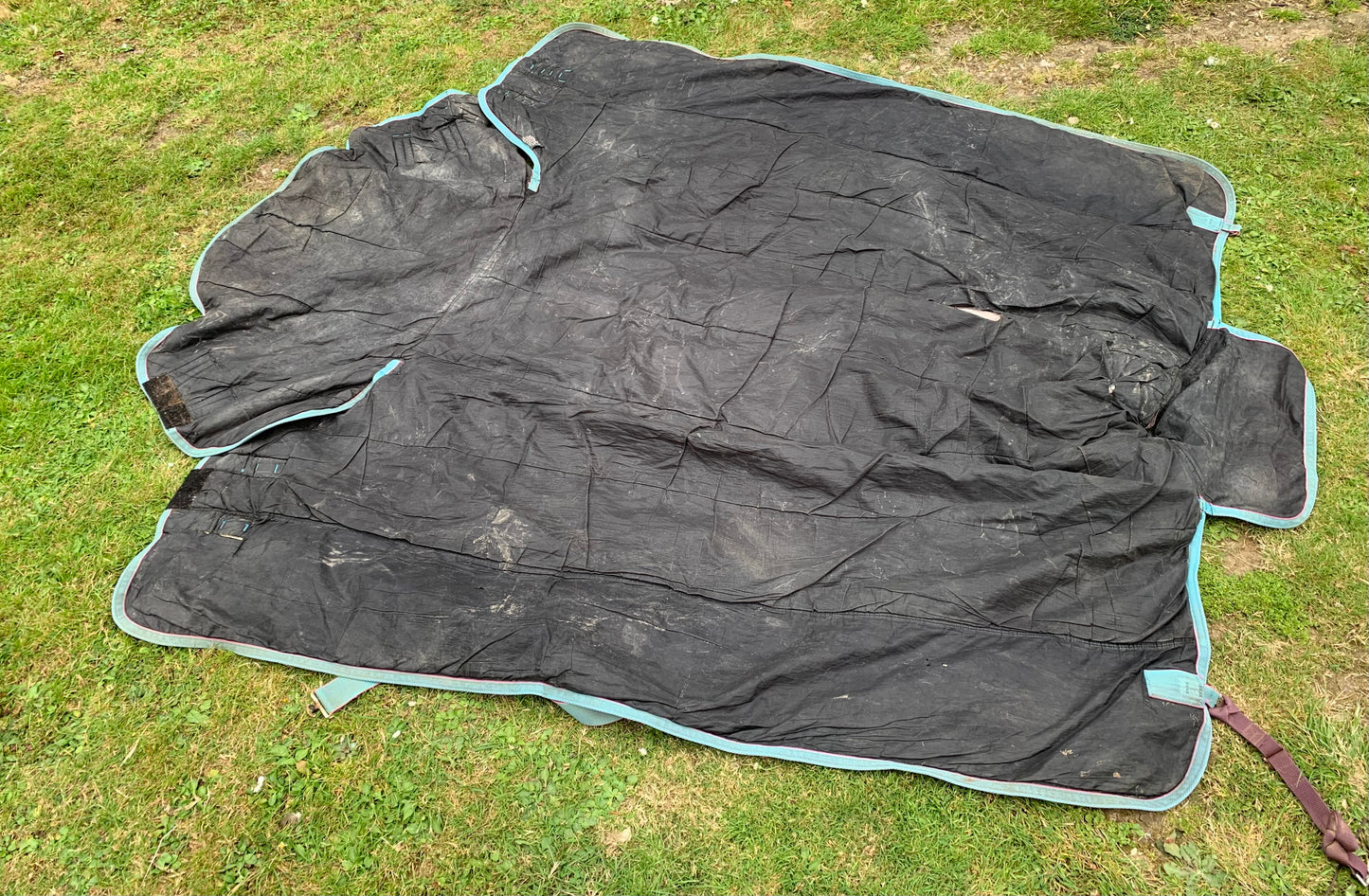 5’9” Shires tempest 180 combo medium weight turnout rug circles print
