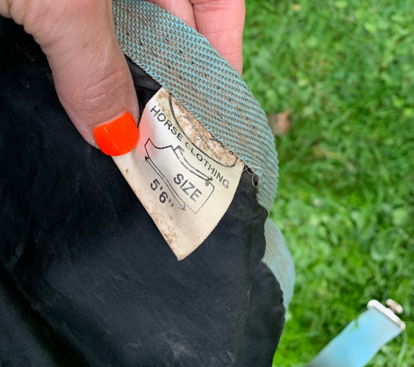 Gallop 5’6 medium weight combo turnout