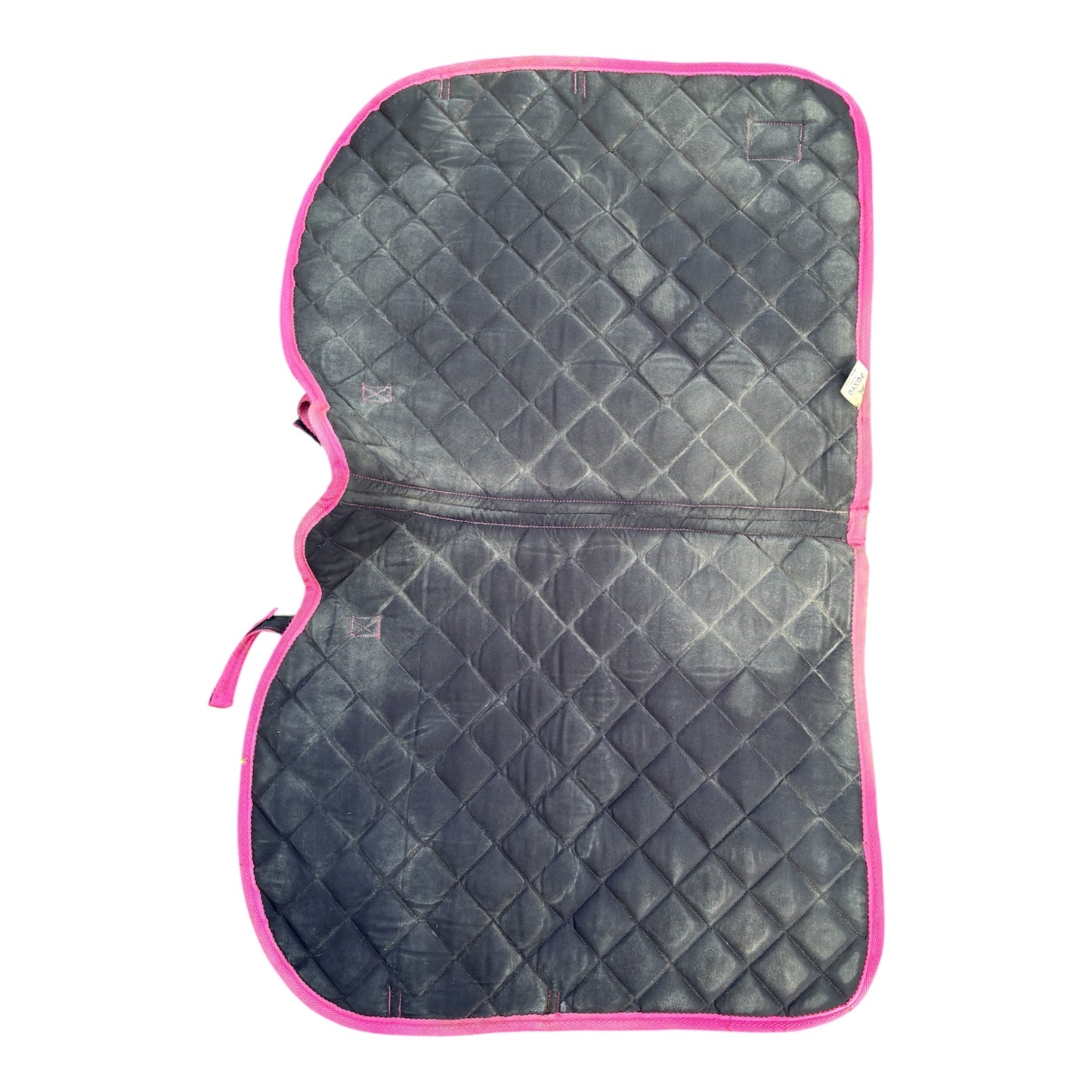 Ponyo skull candy saddle pad - cob size