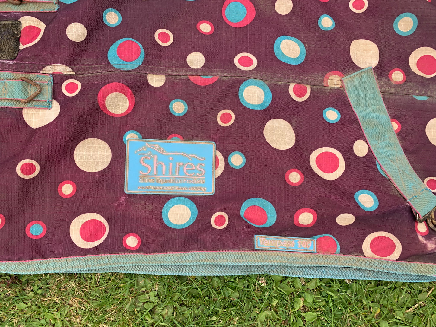 5’9” Shires tempest 180 combo medium weight turnout rug circles print