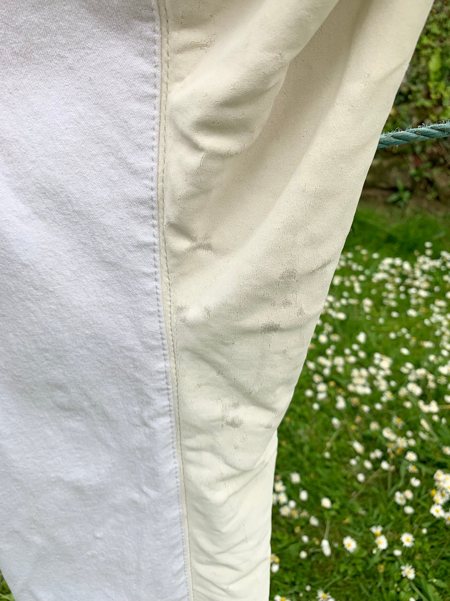 RTS SportLine Bentex Jodhpurs Breeches Full Seat ladies 12