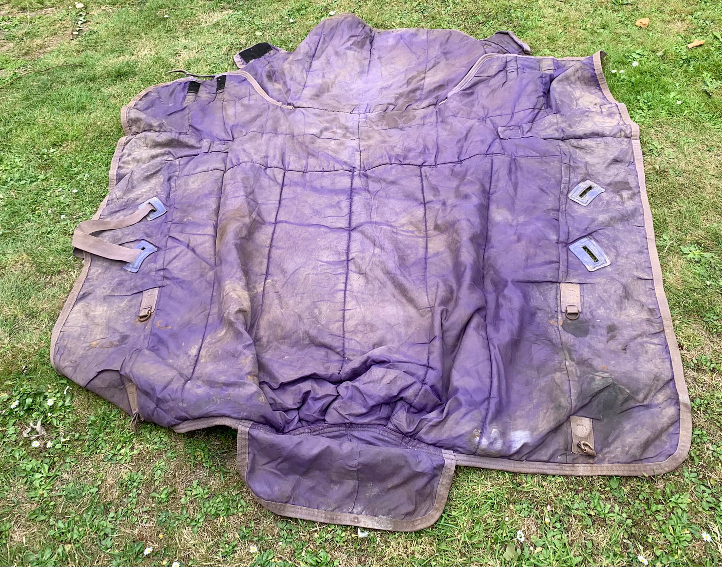 Shires typhoon 5’9” heavyweight combo turnout rug