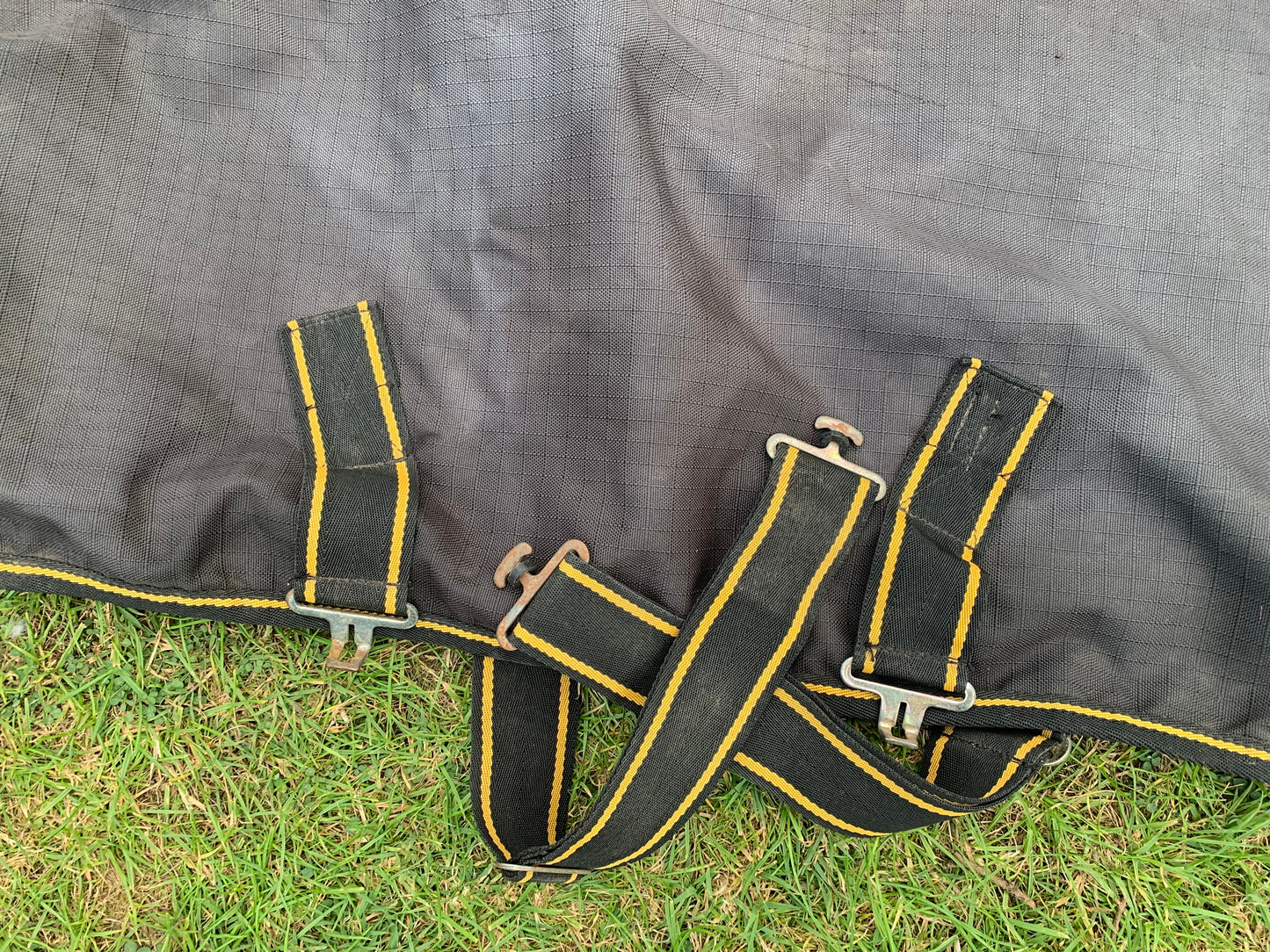 Bucas 4’0” Irish turnout 50g black & gold