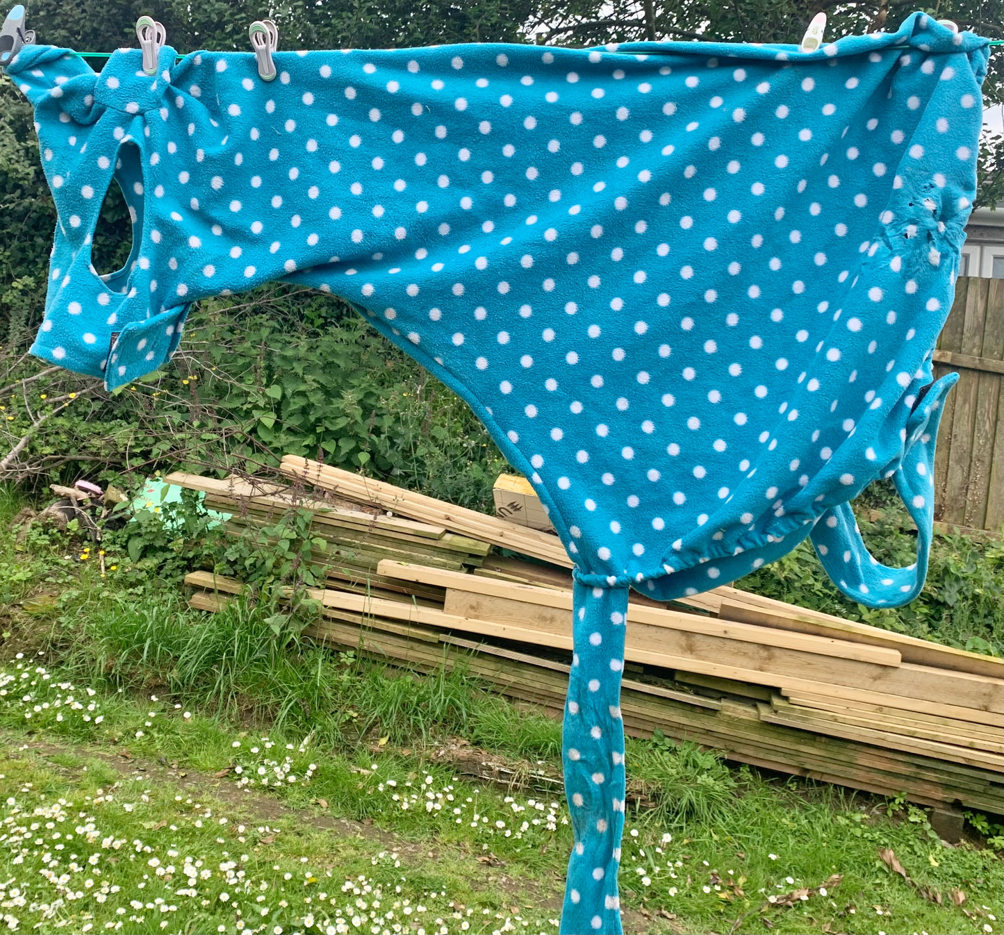 Snuggly pony size blue & white full face fleece hood