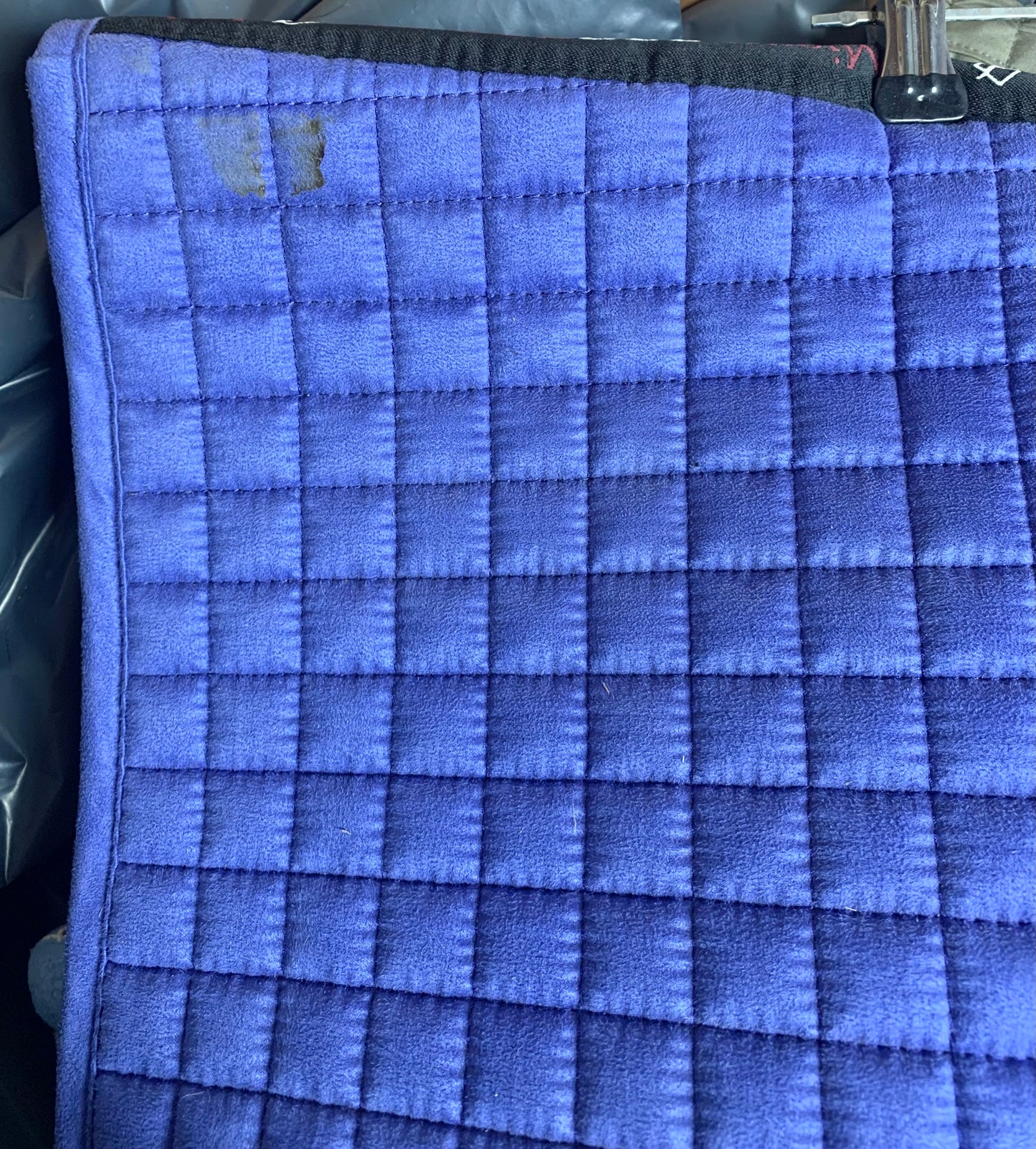 Lemieux bluebell dressage saddle pad size large