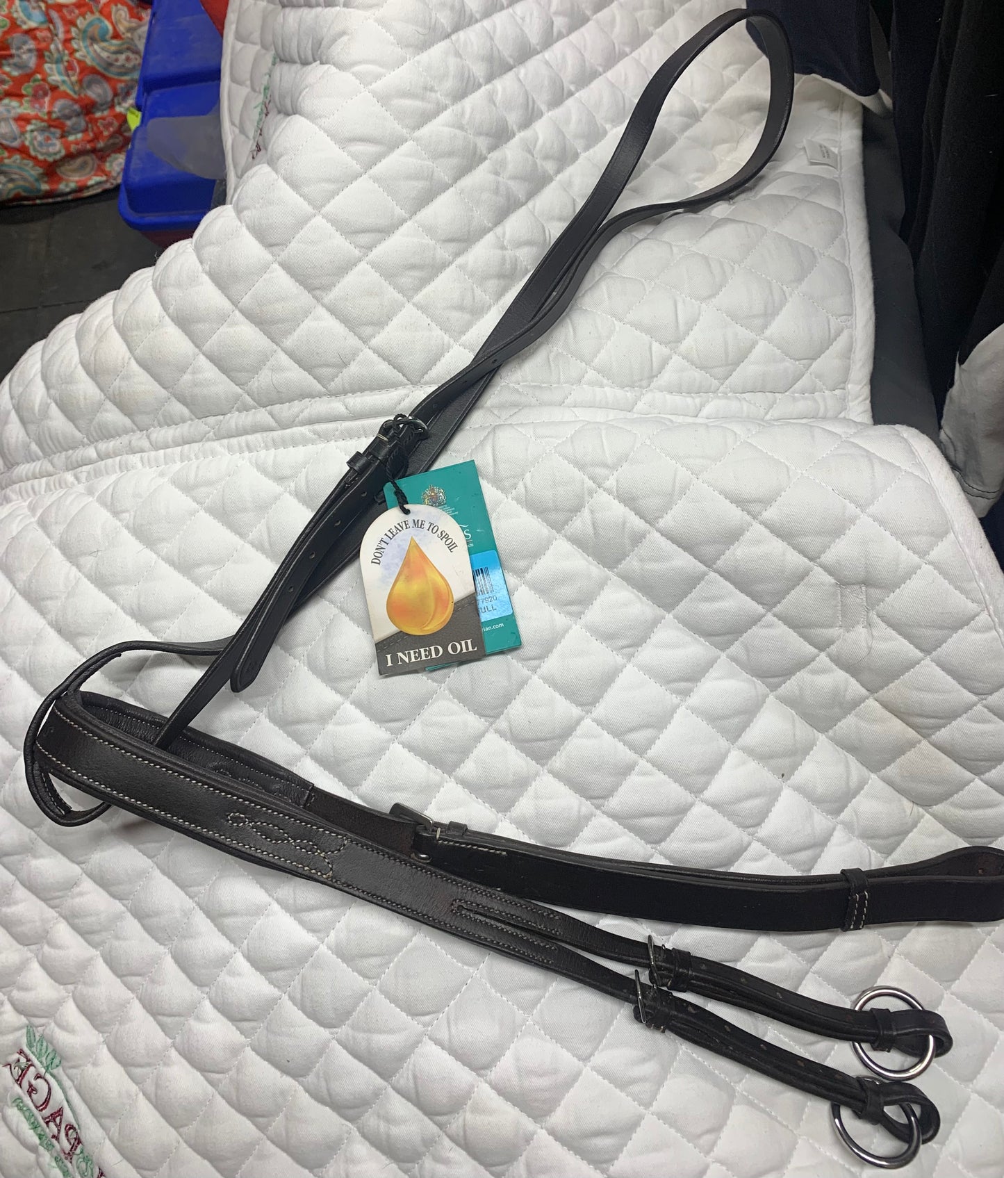 New with tag shires Avignon full size running martingale in Havana