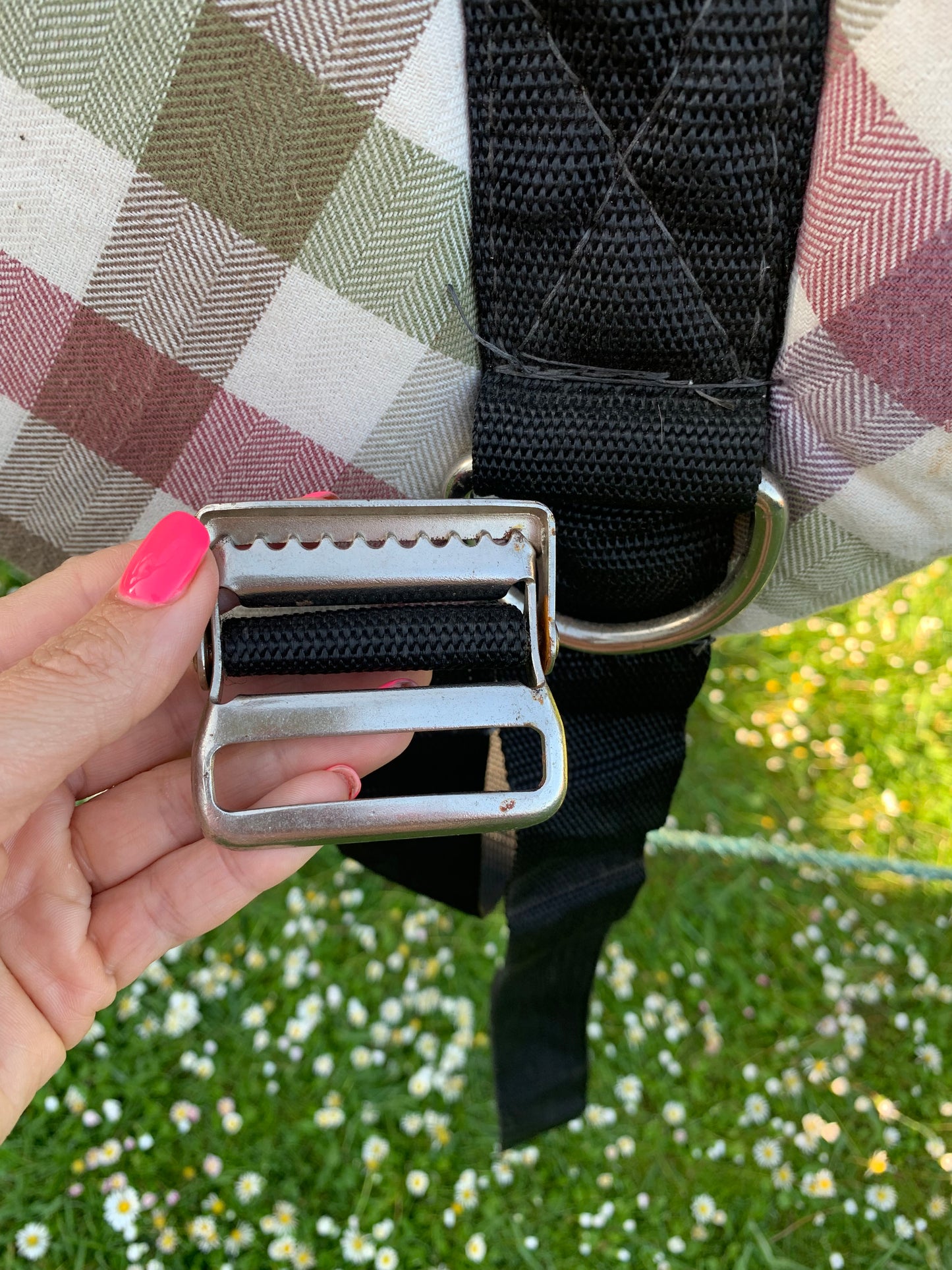 Bareback pad 20” in length
