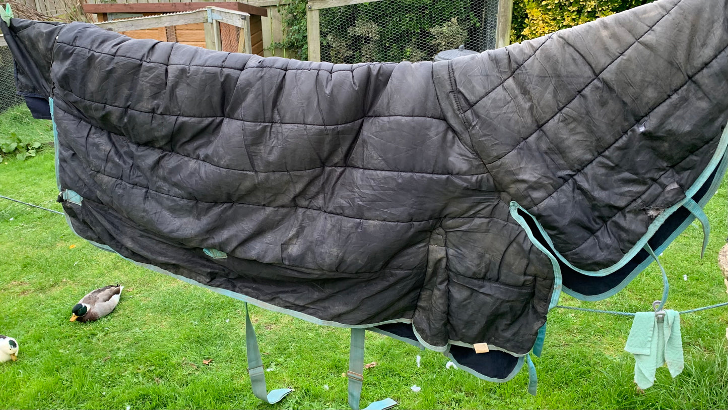 Gallop 5’6 medium weight combo turnout