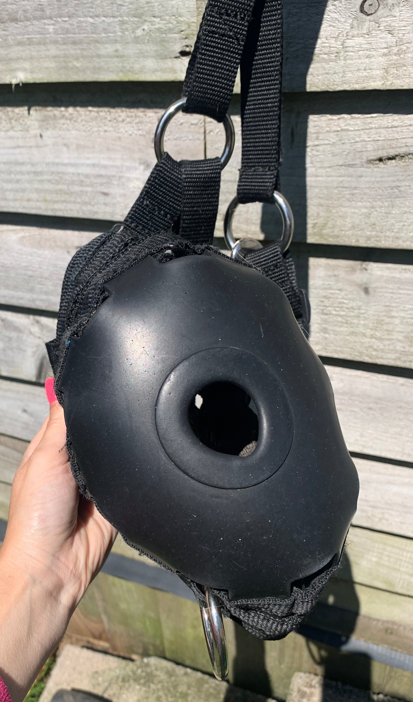 Black Cob size grazing muzzle good condition