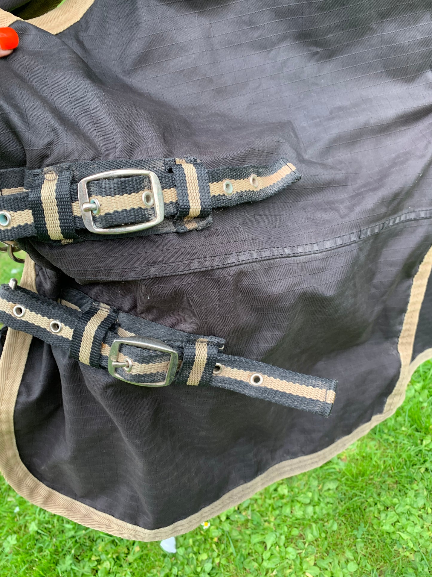 6’0” kandence appprox light to medium combo turnout rug