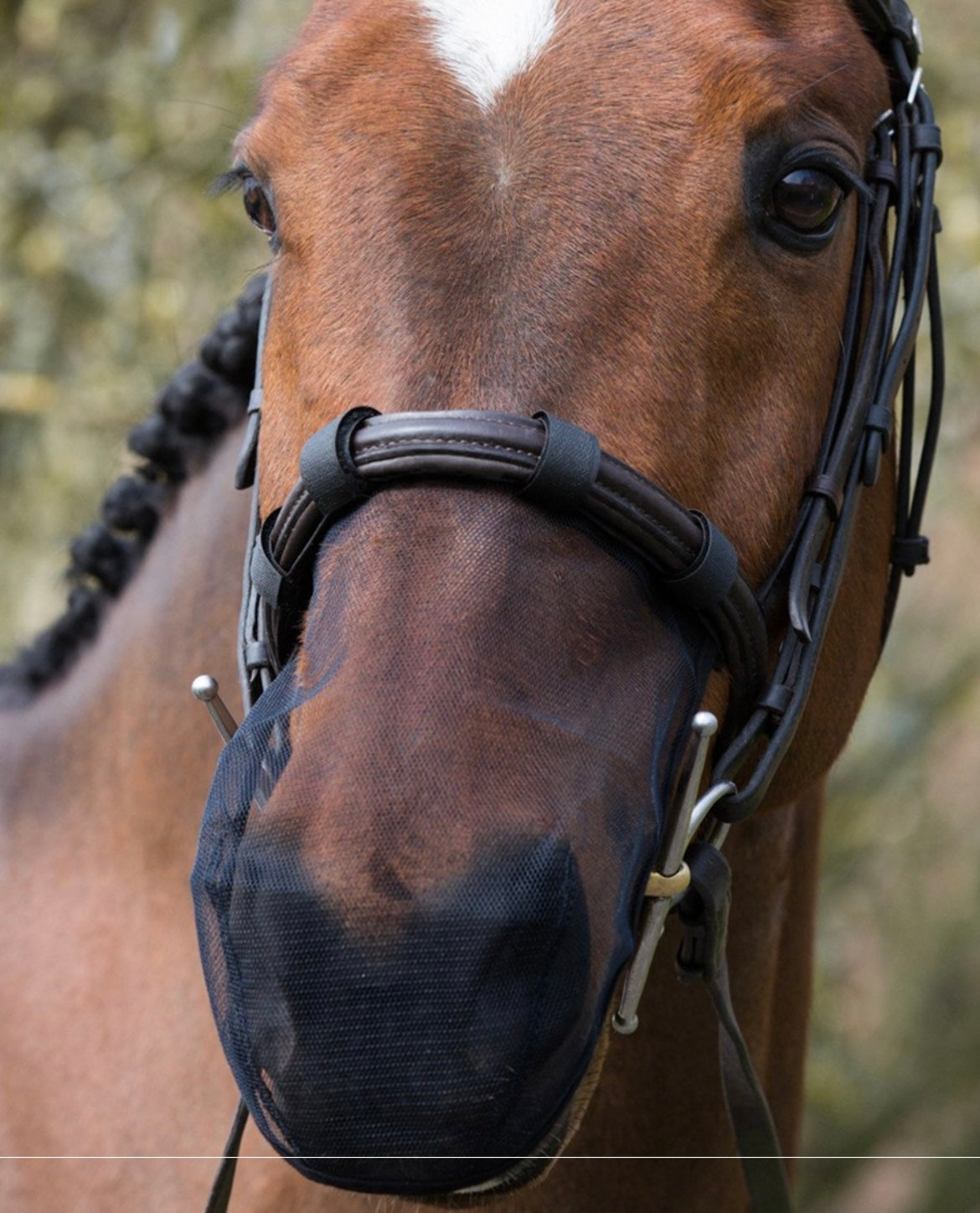EQUILIBRIUM NET RELIEF MUZZLE NET size cob/horse BLACK