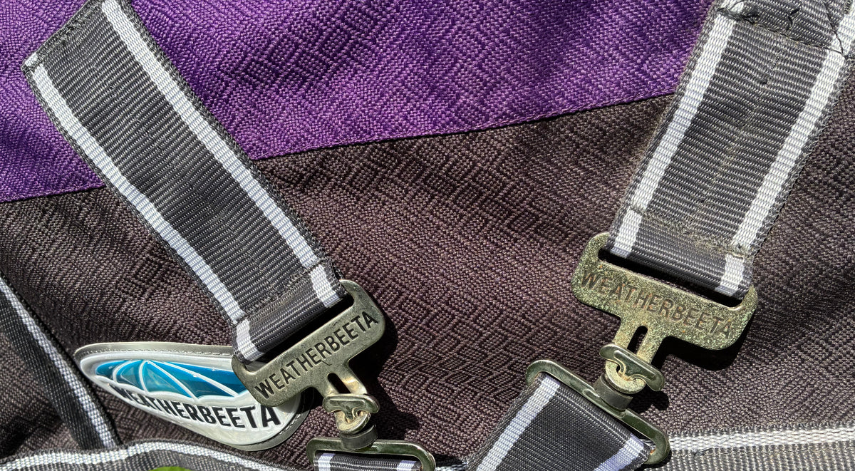 š“ WeatherBeeta ComFiTec Plus Dynamic Combo Neck Heavy Turnout Rug ā 3ā0ā š Purple/Black