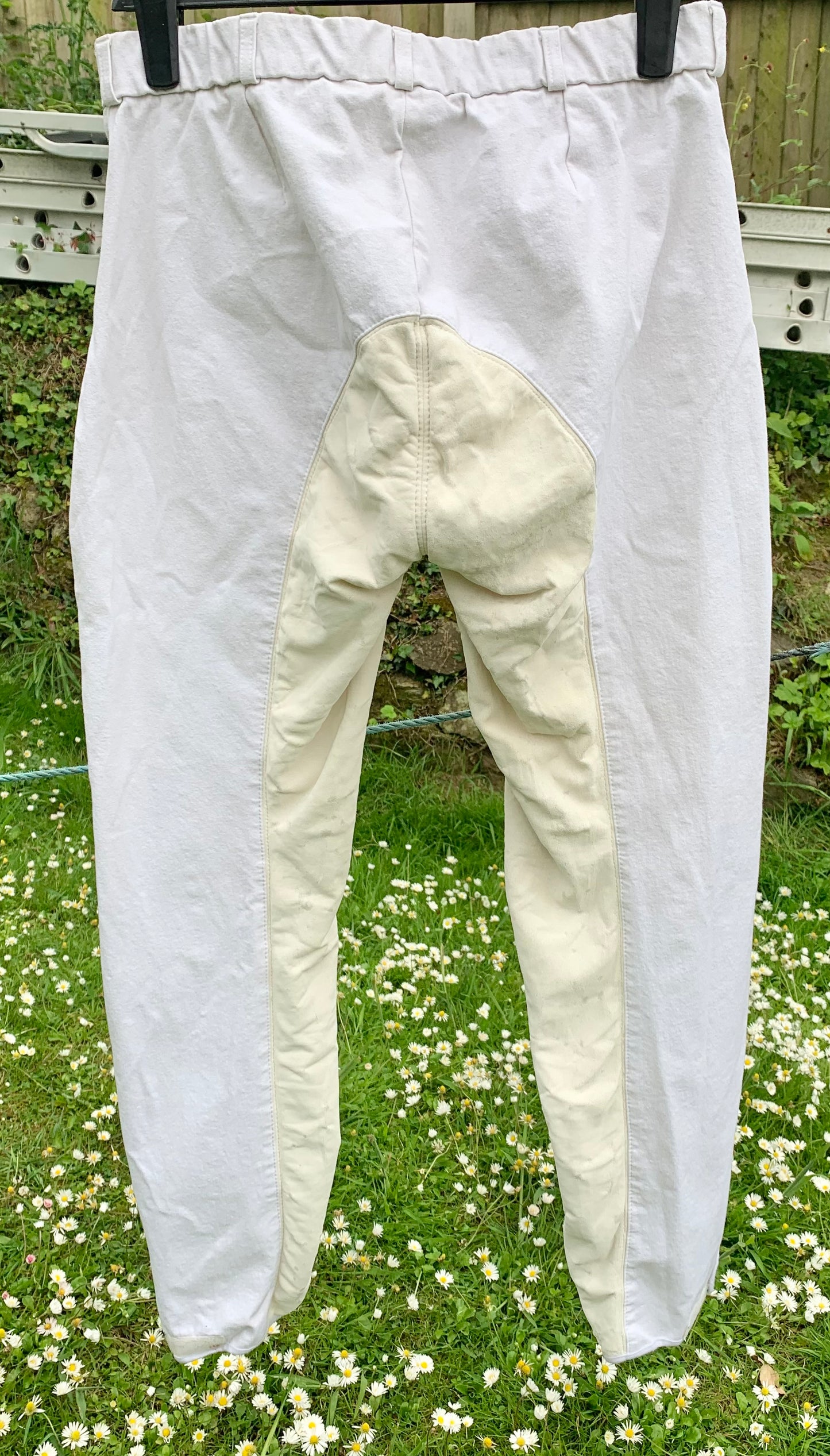 RTS SportLine Bentex Jodhpurs Breeches Full Seat ladies 12