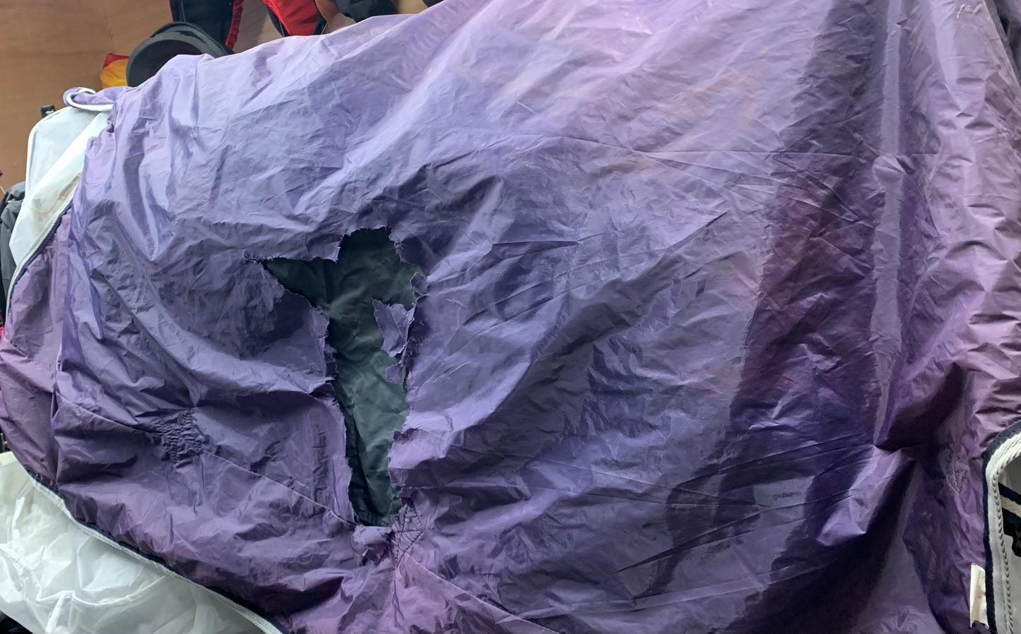 5’6 waterproof throw over show Walker rug sheet
