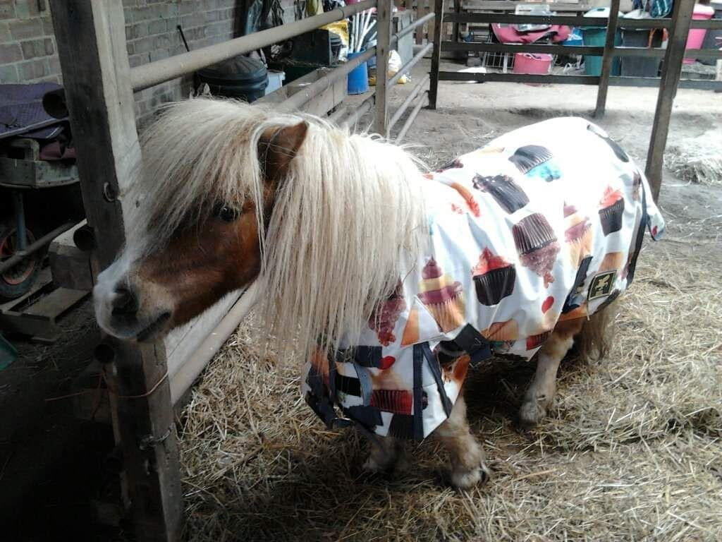 Stable rugs/sheets
