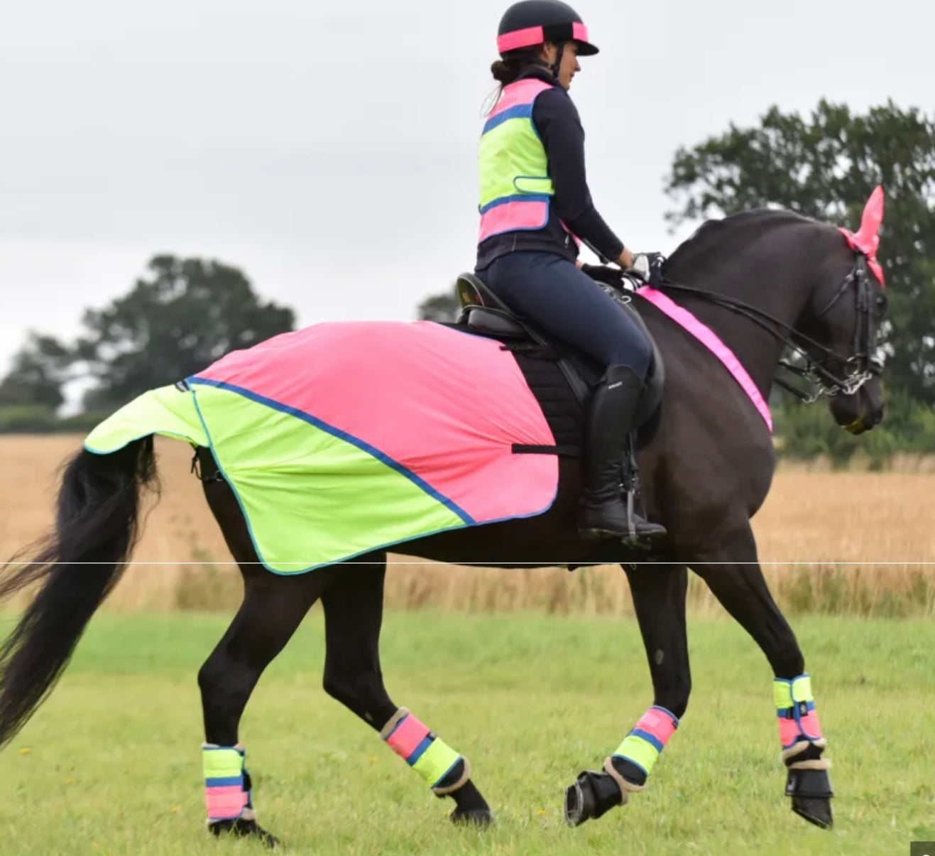 HI VIZ
