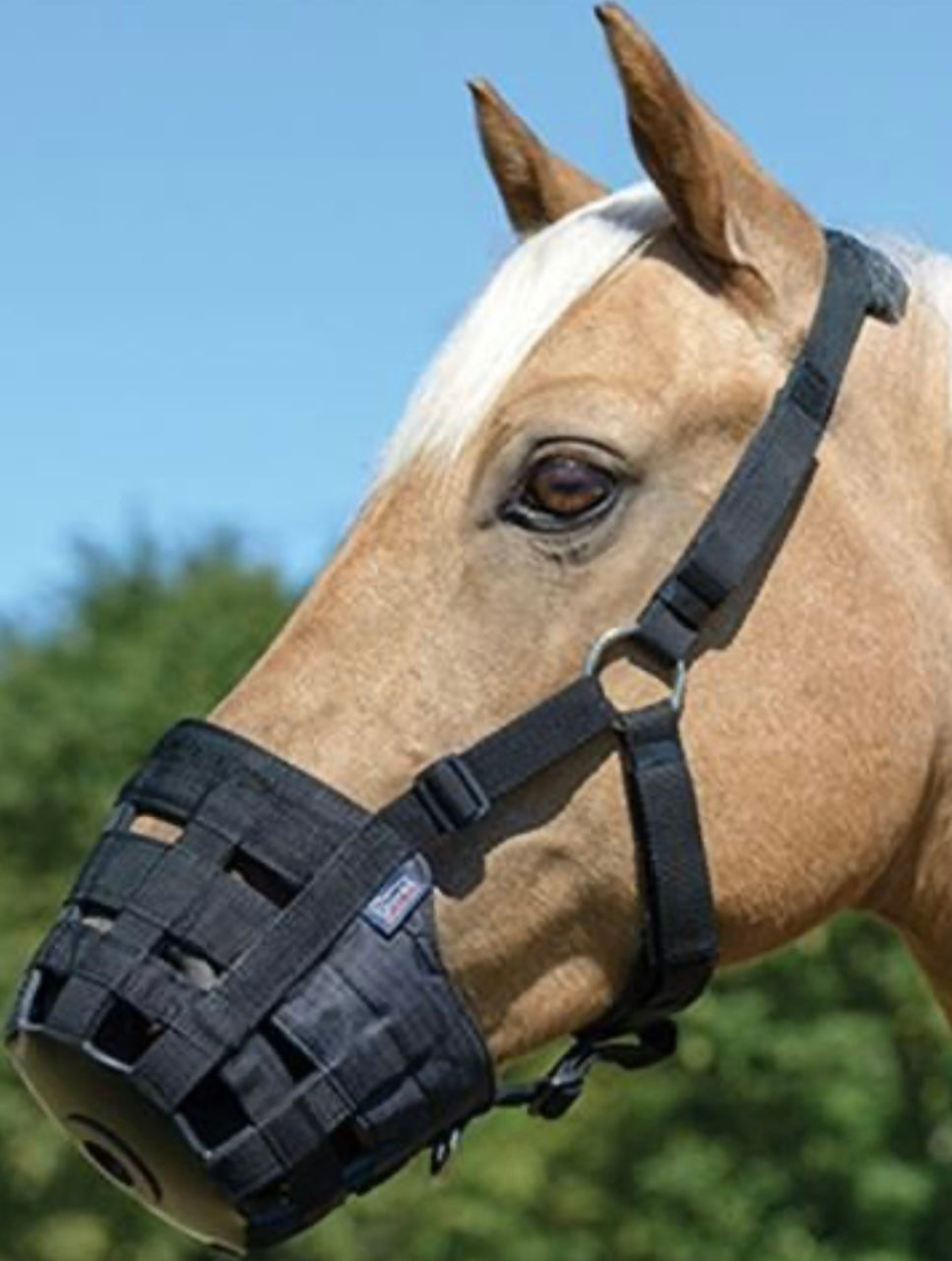 Grazing muzzles