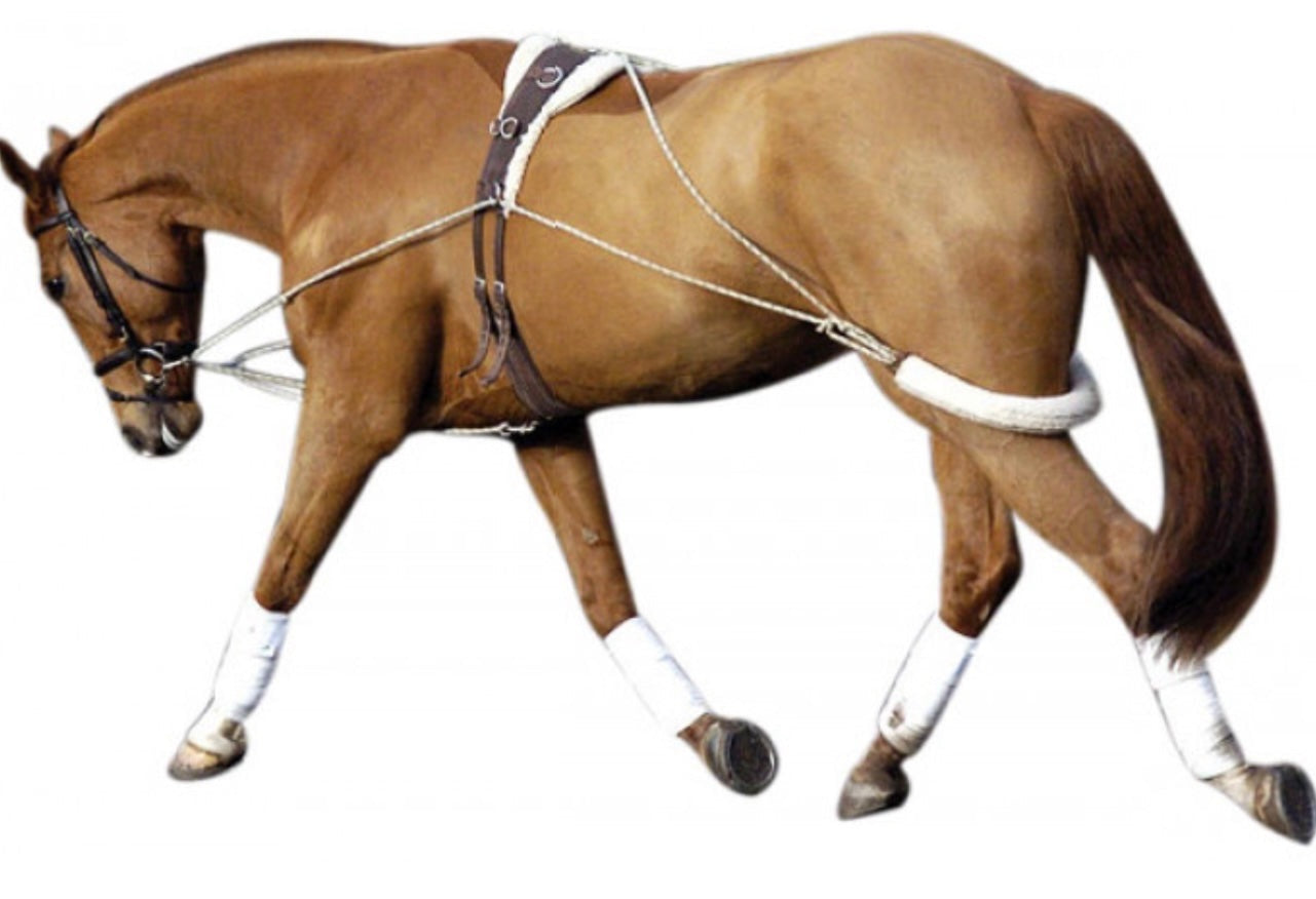 Lunging/training aids/spurs/whips