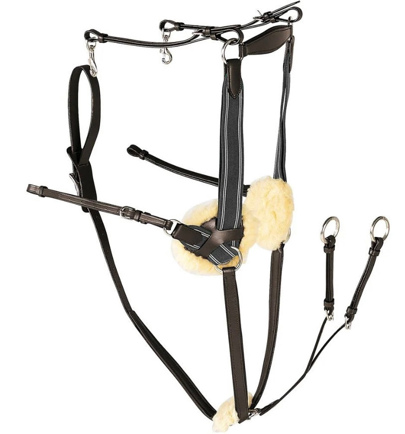 Martingales/breastplates
