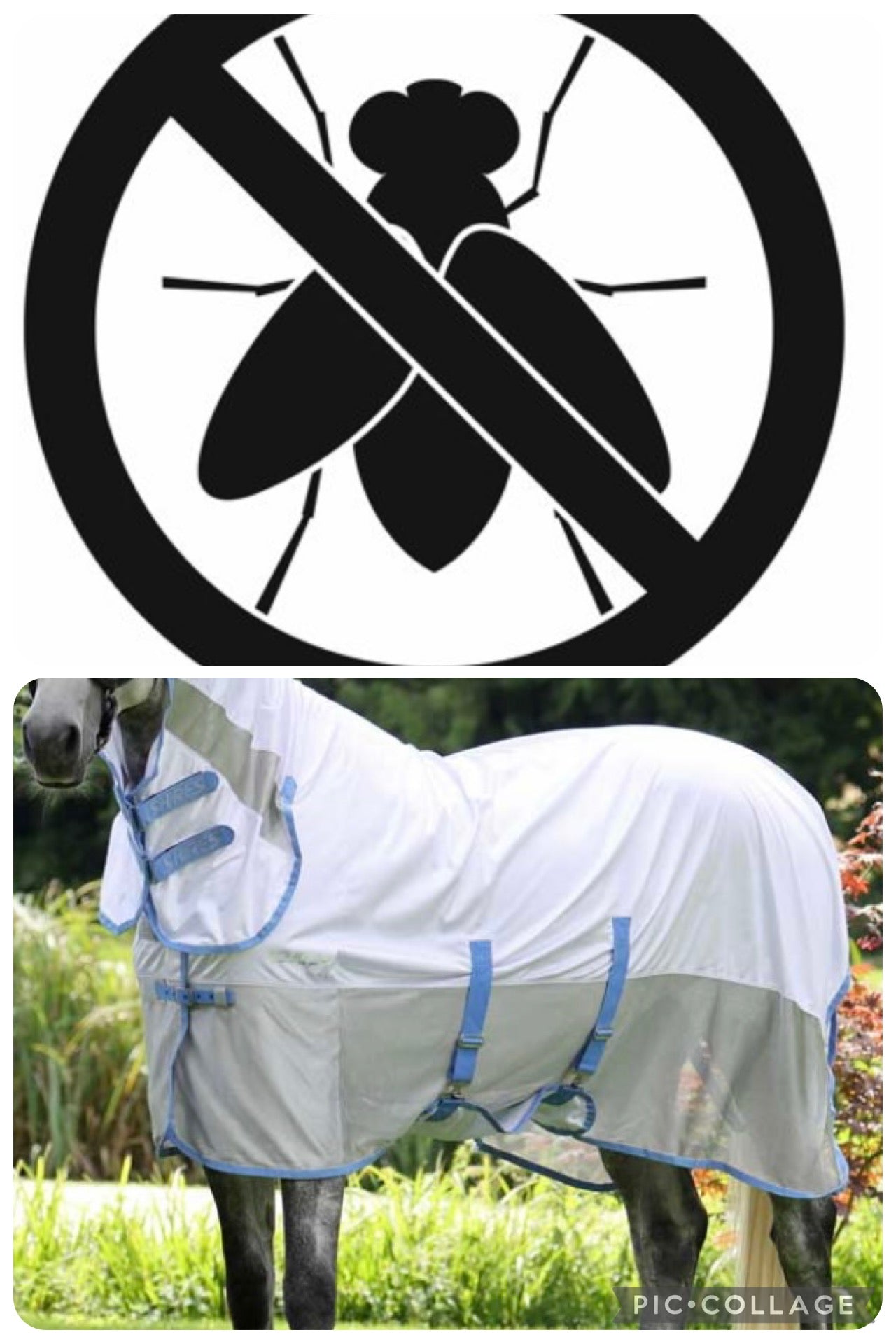 Fly/sweet itch/bug rugs