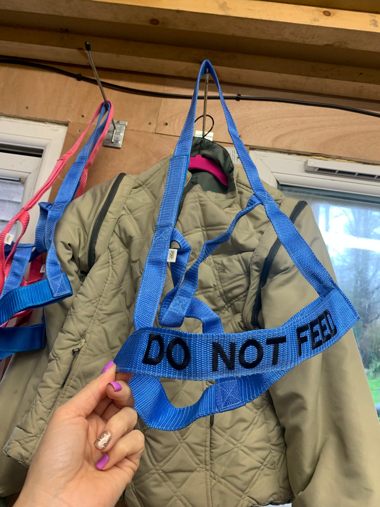 NEW “DO NOT FEED” VELCRO CLOSURE FIELD HEADCOLLAR PONY SIZE BLUE