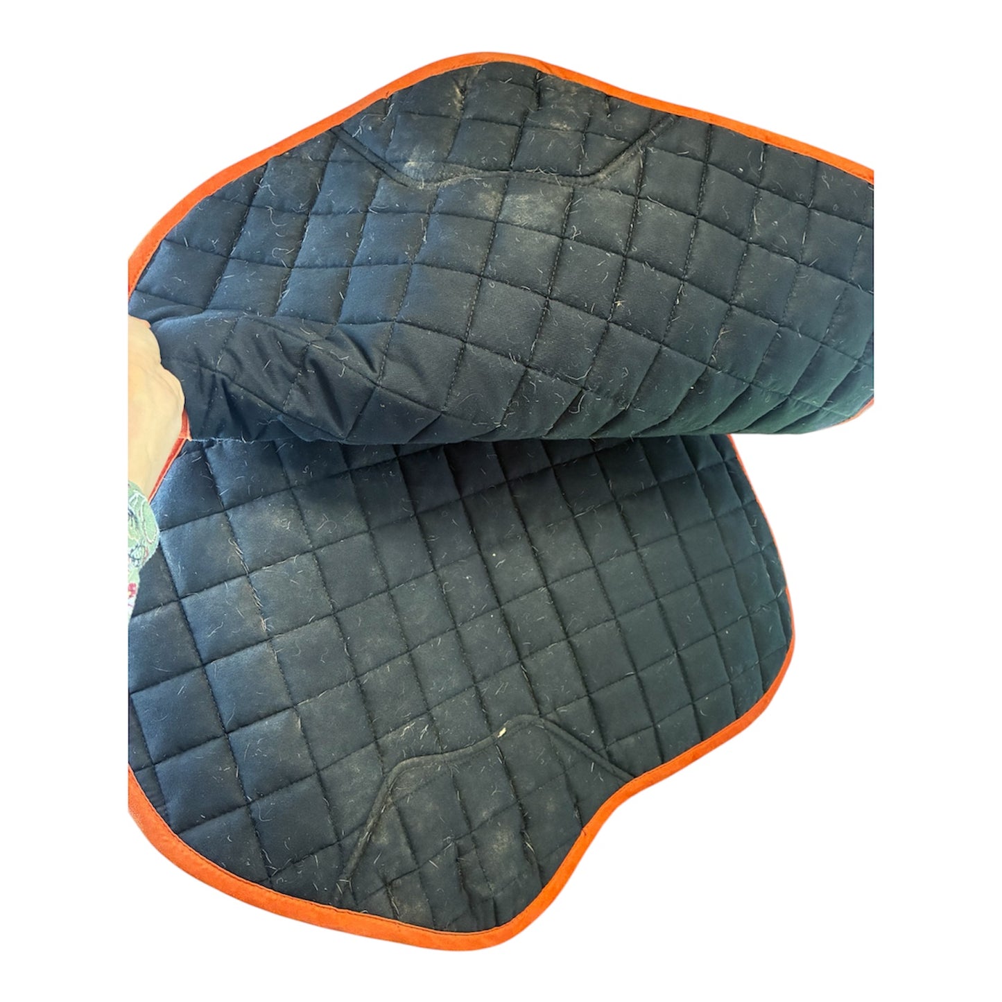 Lemieux paprika suede close contact saddle pad s/m