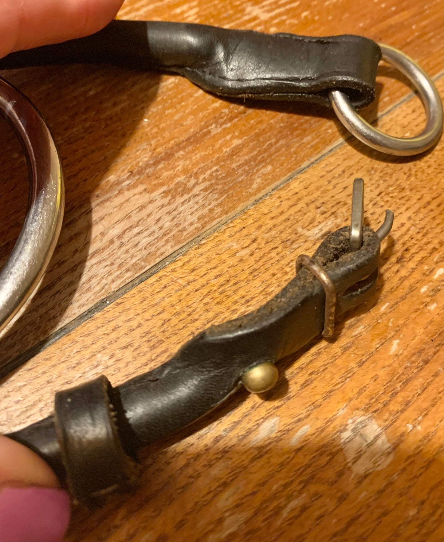 5.5” jointed running gag/cheltenham bit with cheek pieces (ref2)