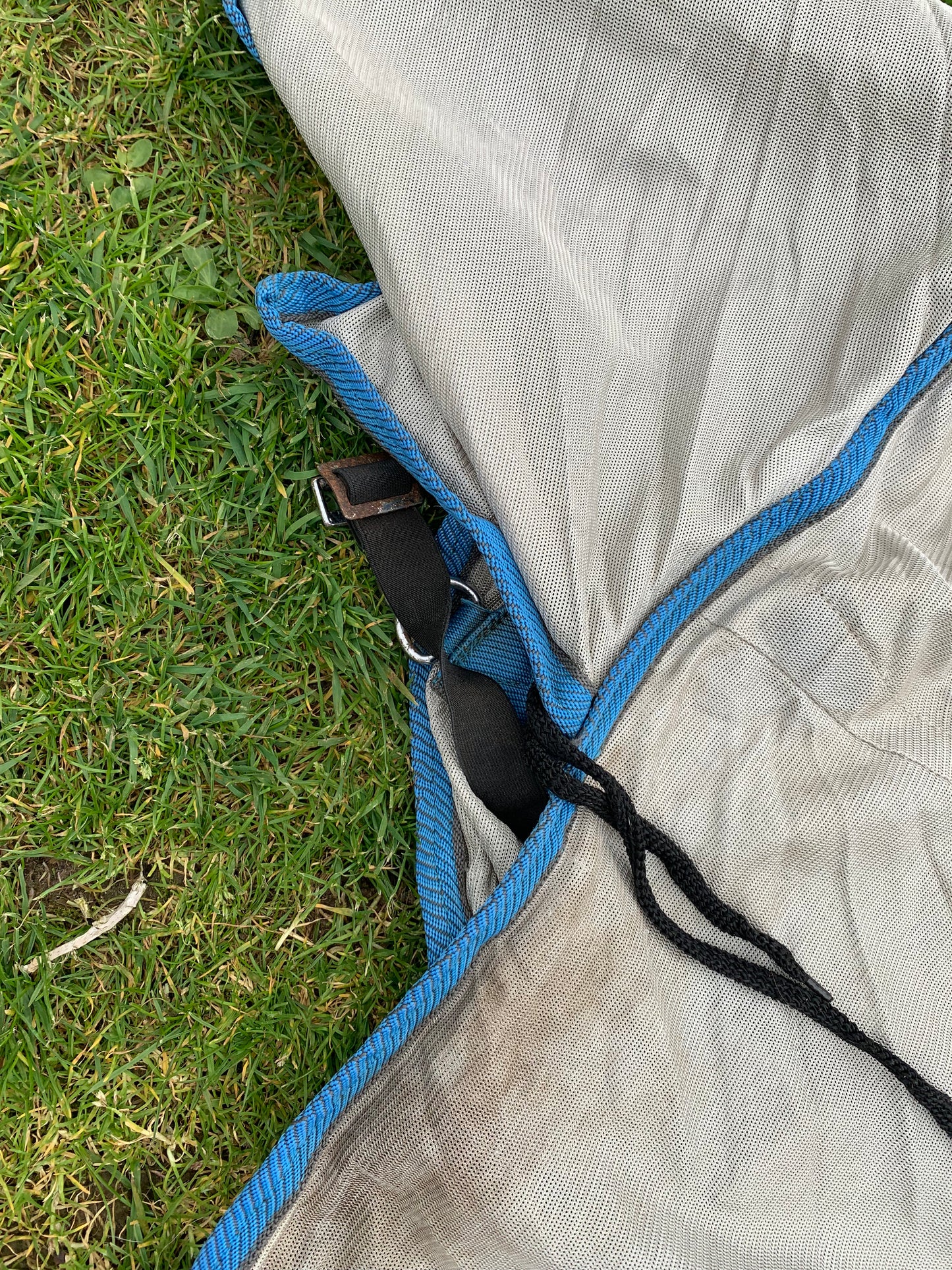 6’0 combo fly rug with belly