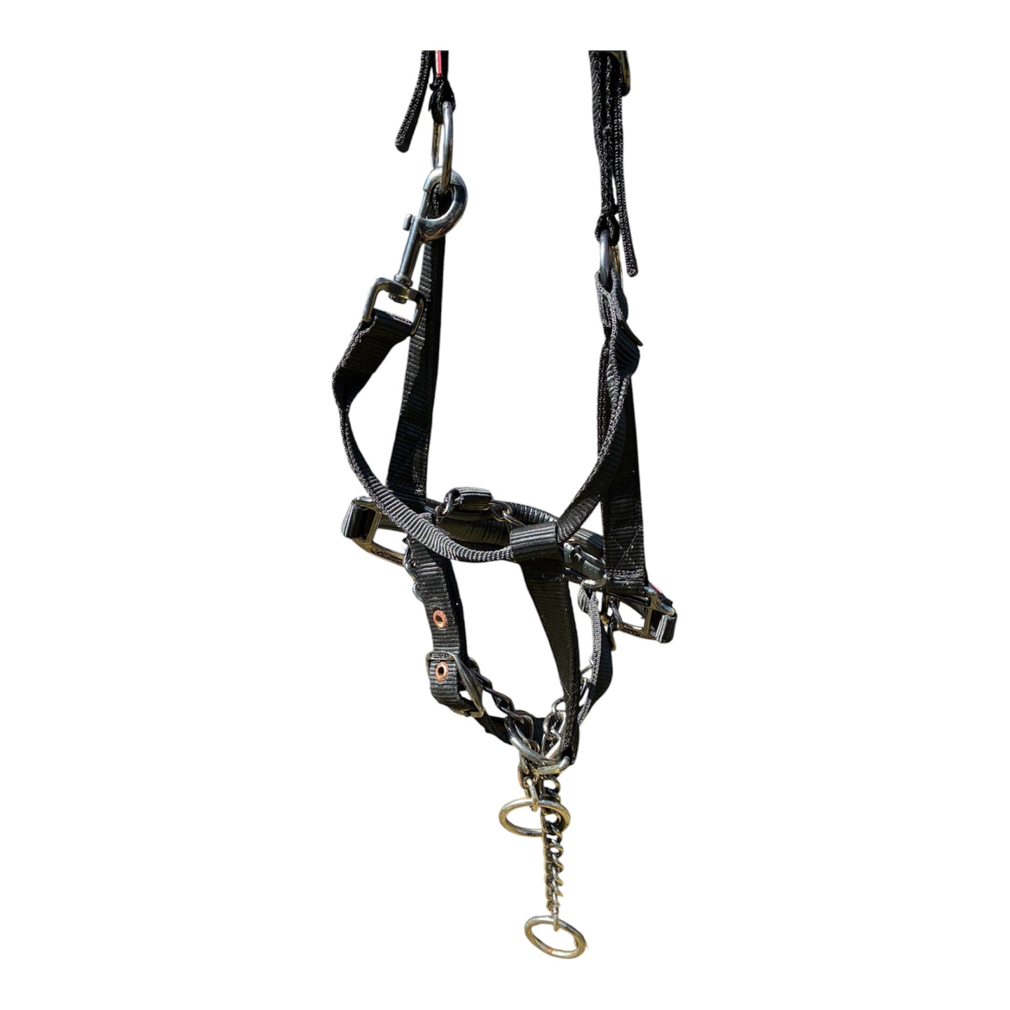 LeMieux ProSafe Headcollar - full size