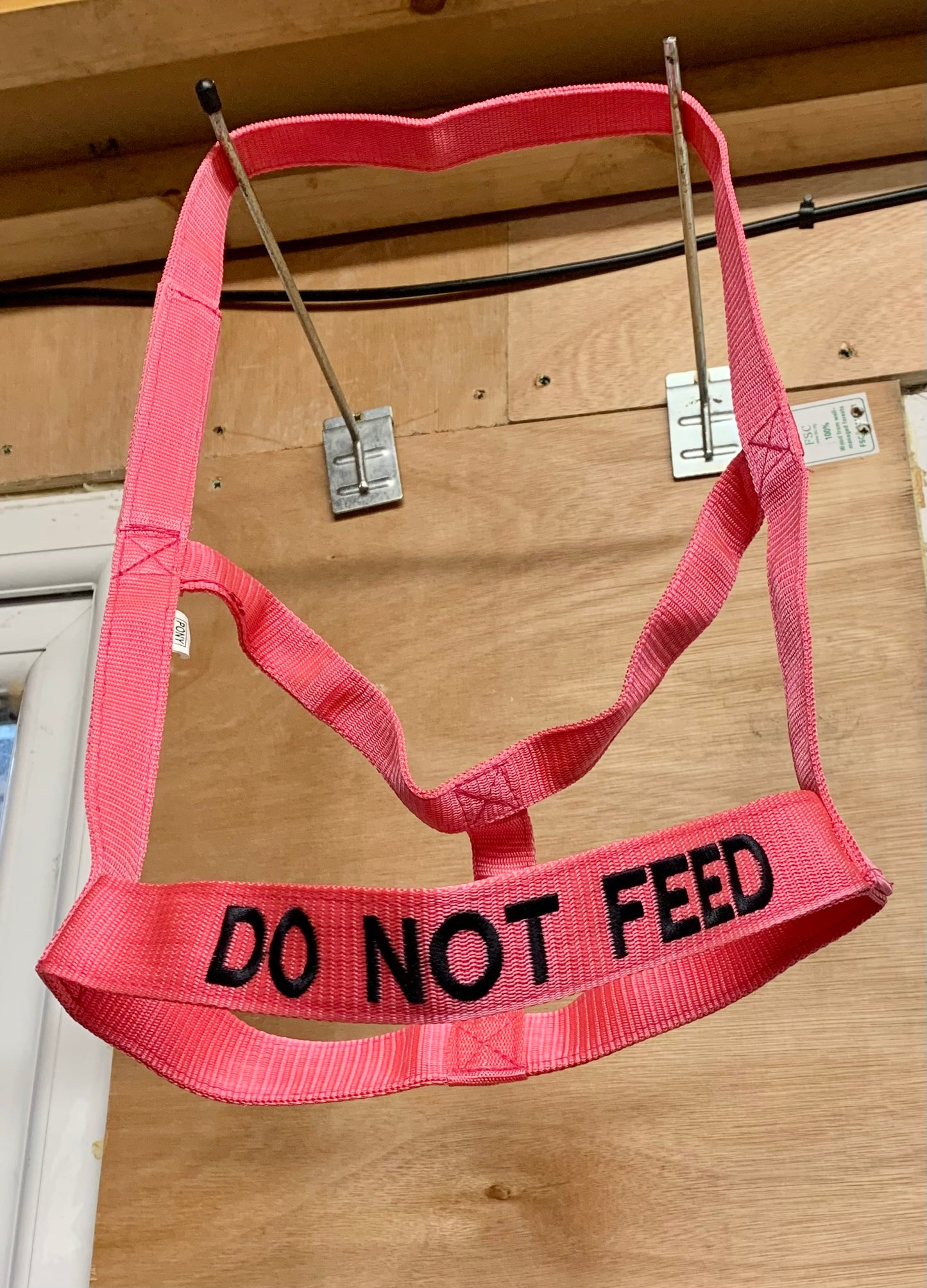 NEW “DO NOT FEED” VELCRO CLOSURE FIELD SAFE HEADCOLLAR 
 PONY SIZE PINK