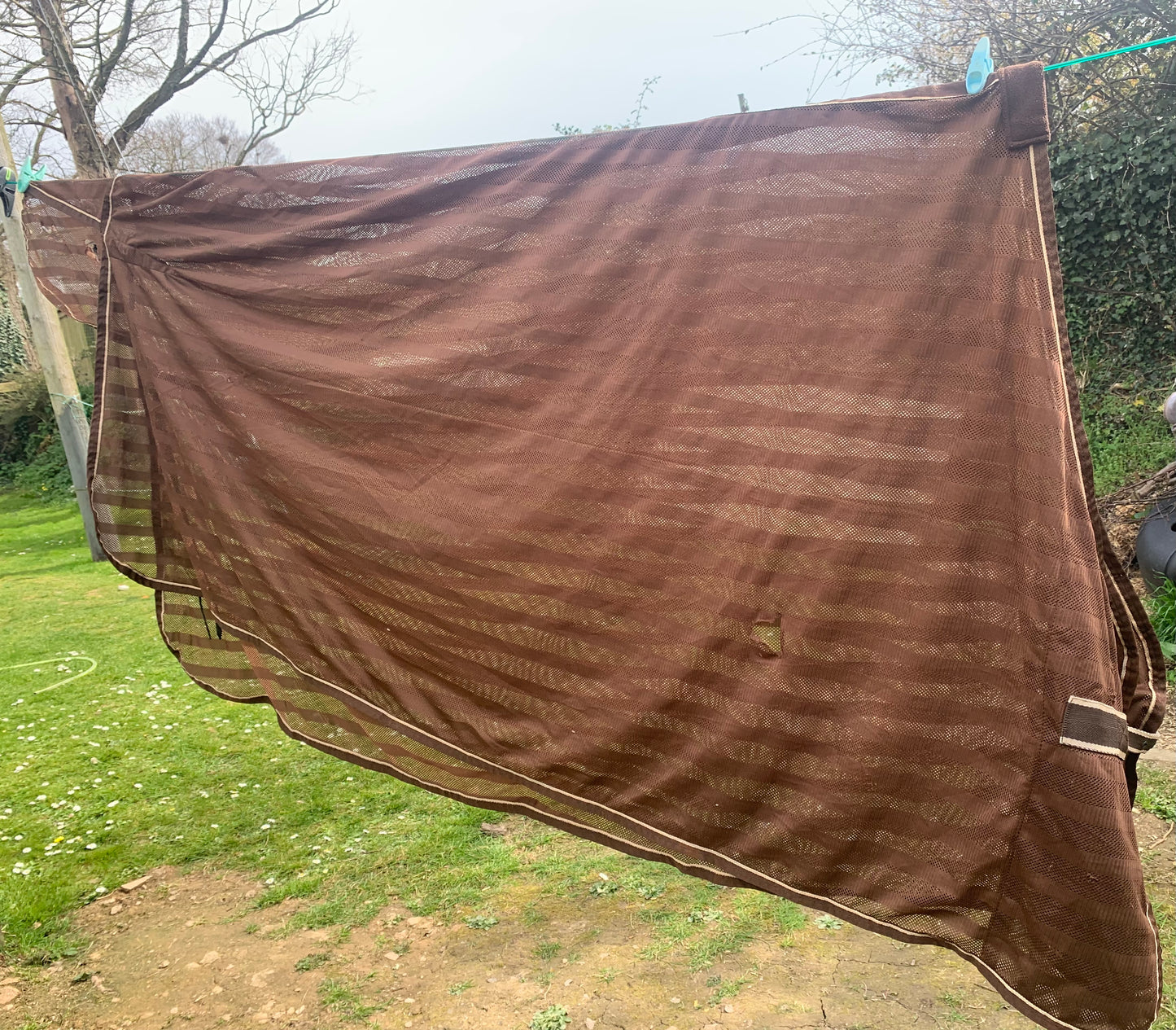 Hkm brown cooler scrim sheet rug 6’3