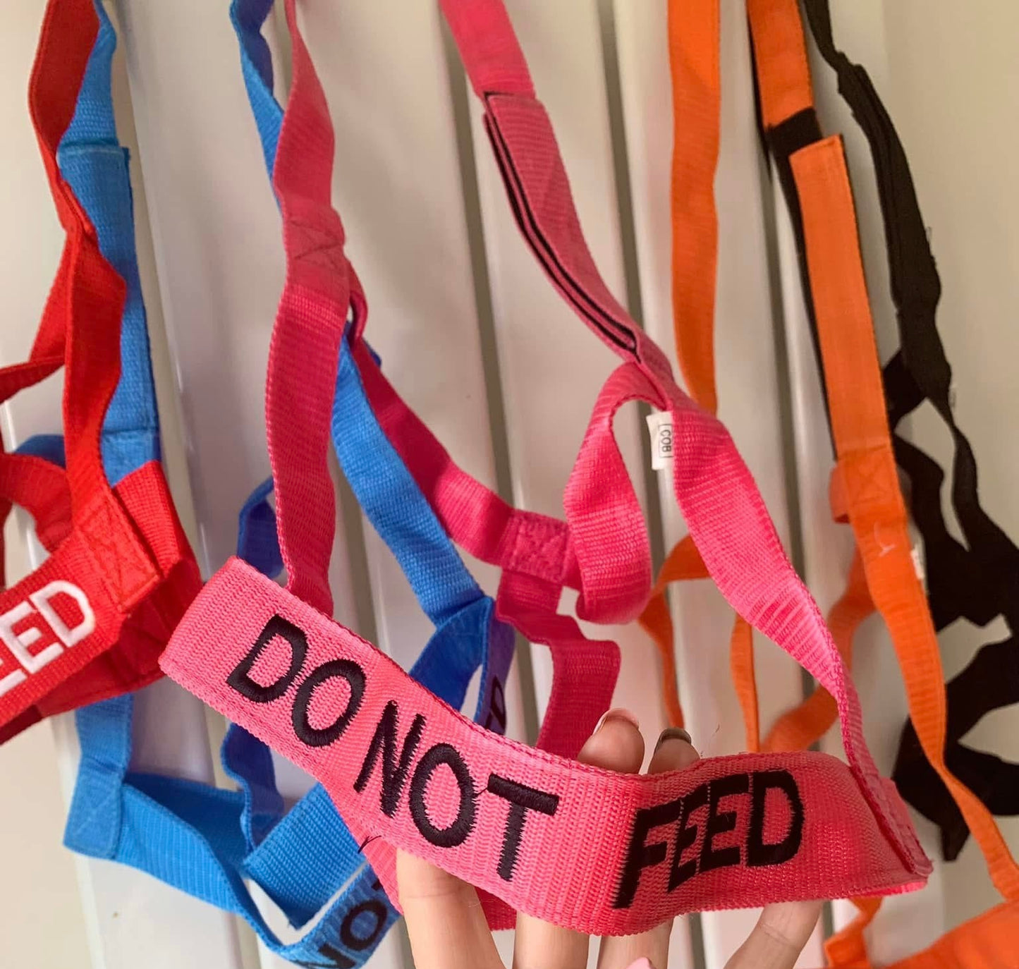 NEW❌‼️DO NOT FEED❌‼️VELCRO CLOSURE FIELD HEADCOLLAR 
 COB SIZE PINK
