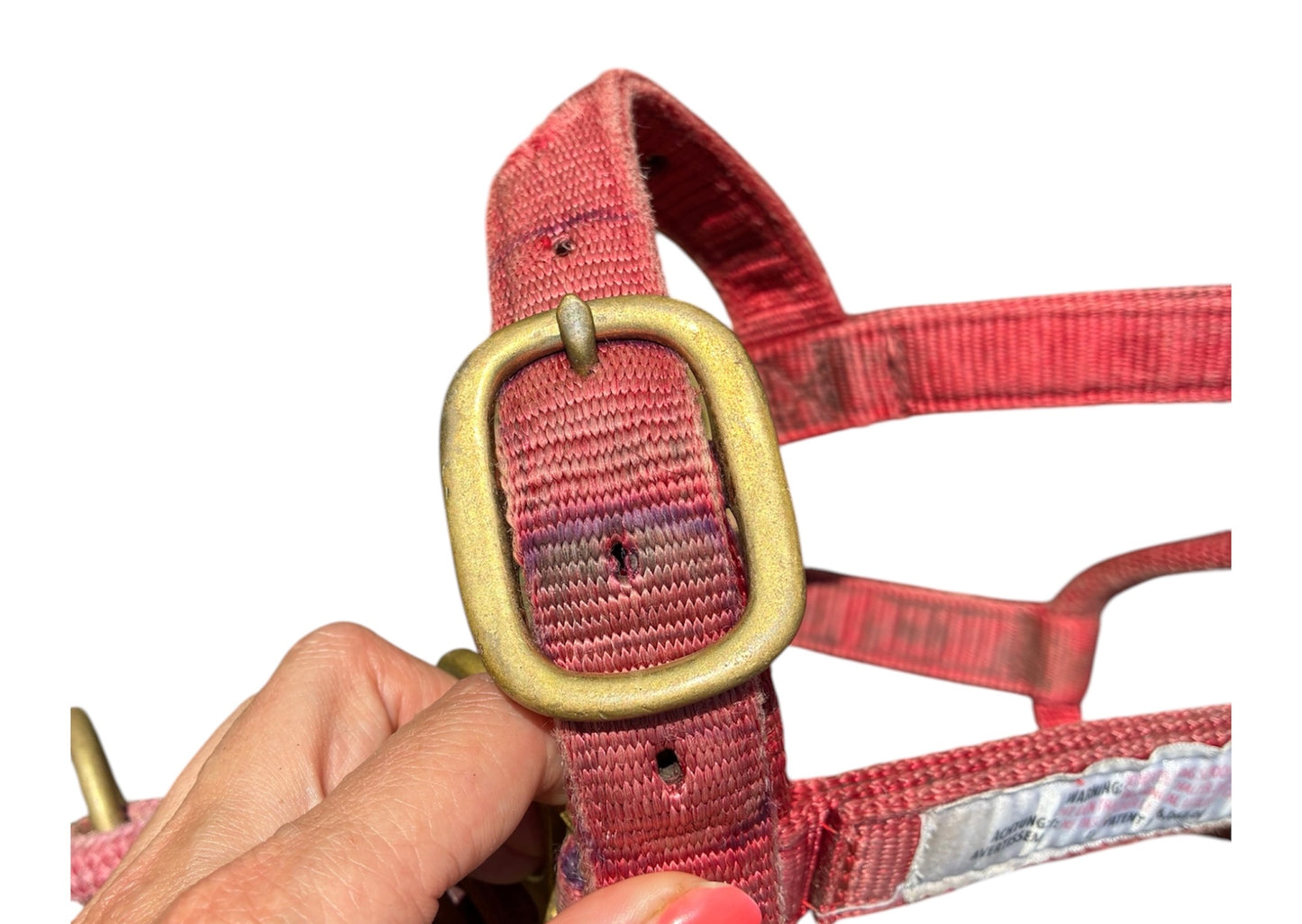 OFFICIAL MONTY ROBERTS DUALLY RED (SMALL SIZE)