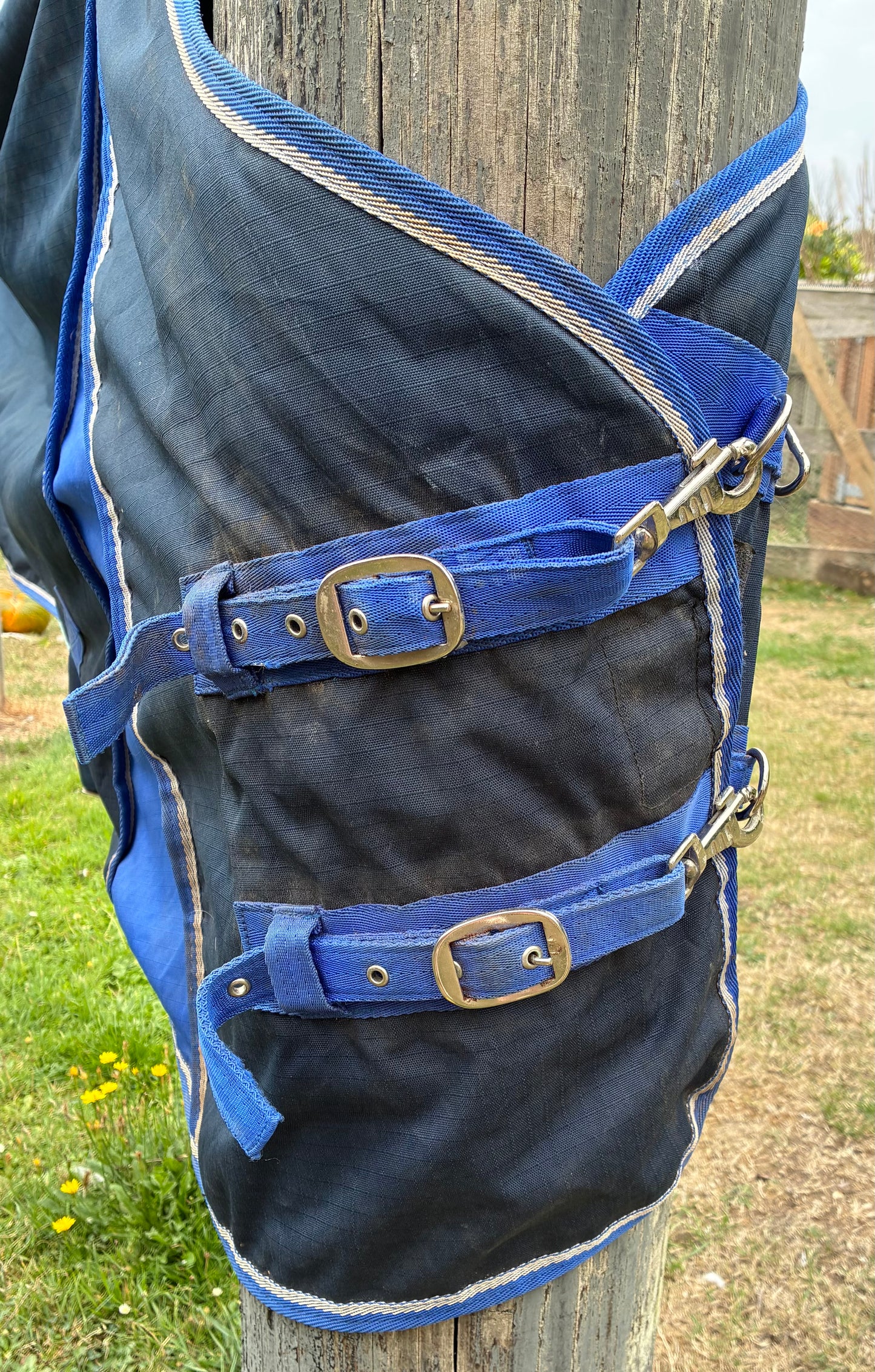 Apollo air 6’0 medium weight turnout rug eaturing a breathable mesh lining
