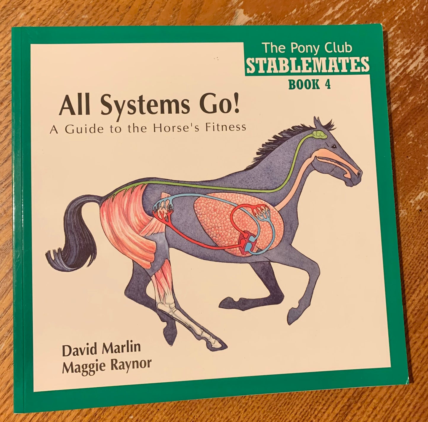 New book All Systems Go - a guide to the horses fitness