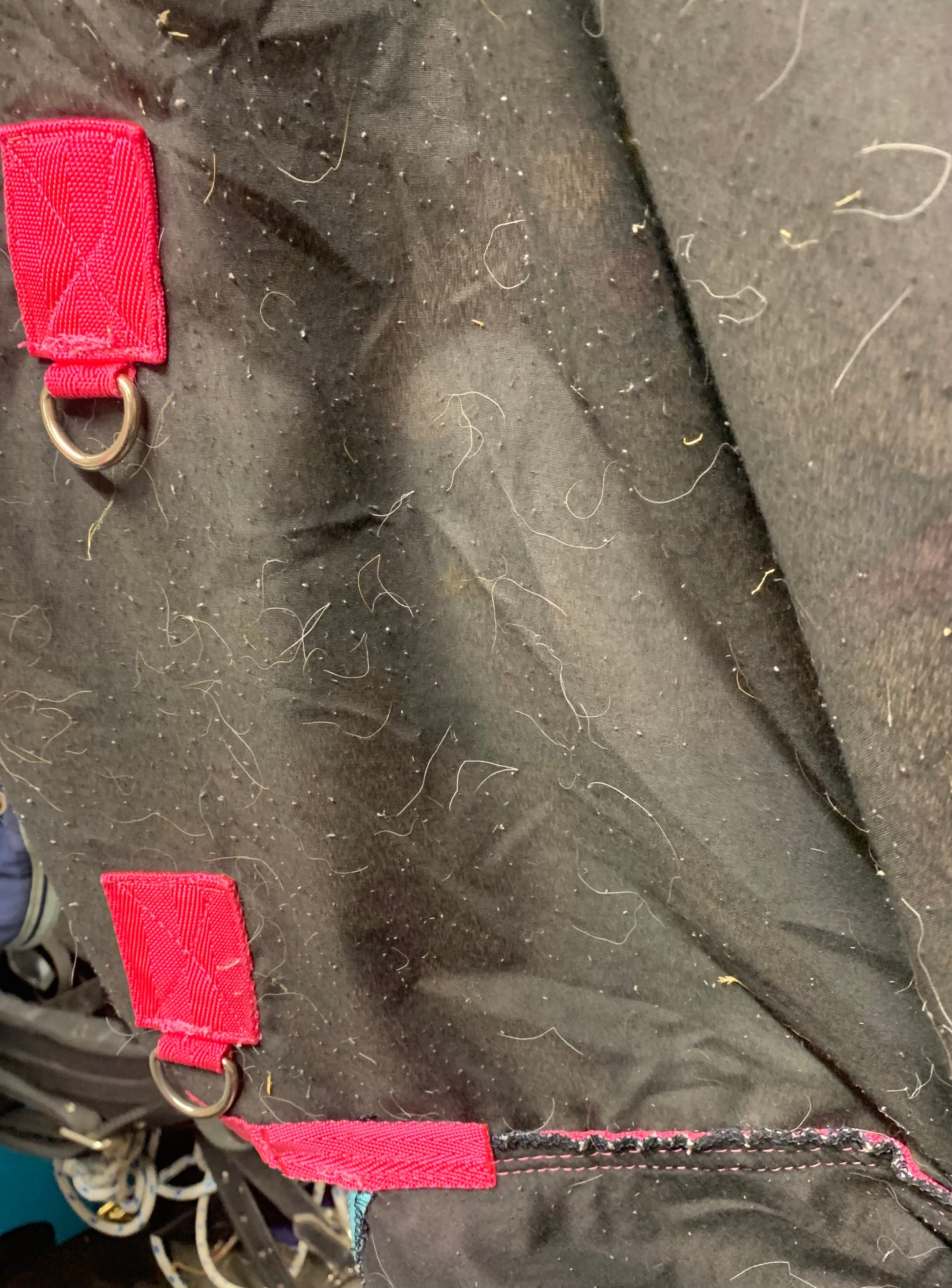 3’6 Rhinegold no fill unicorn aqua & pink turnout rug