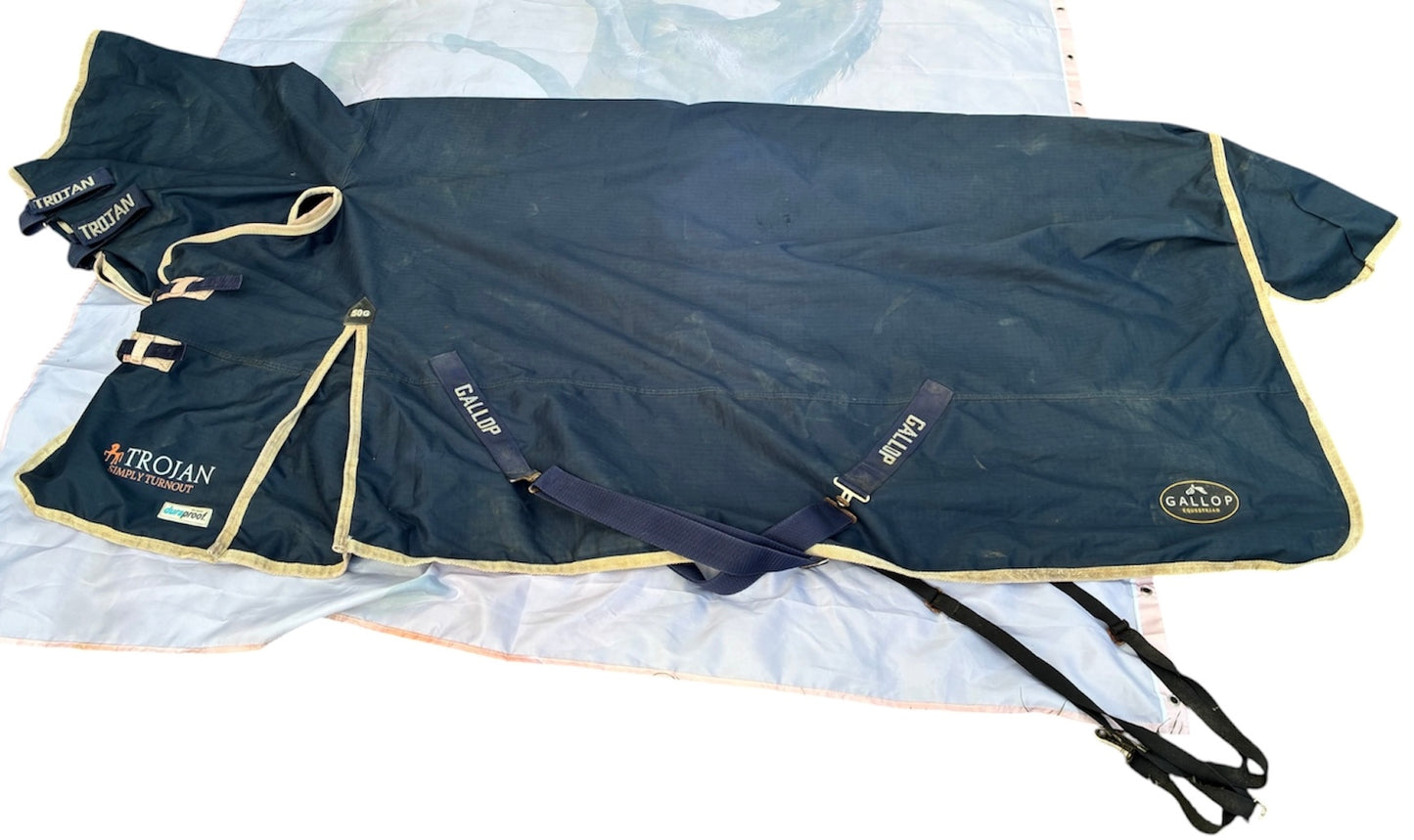 Gallop Trojan 50g Duraproof Combo Turnout 6’6”