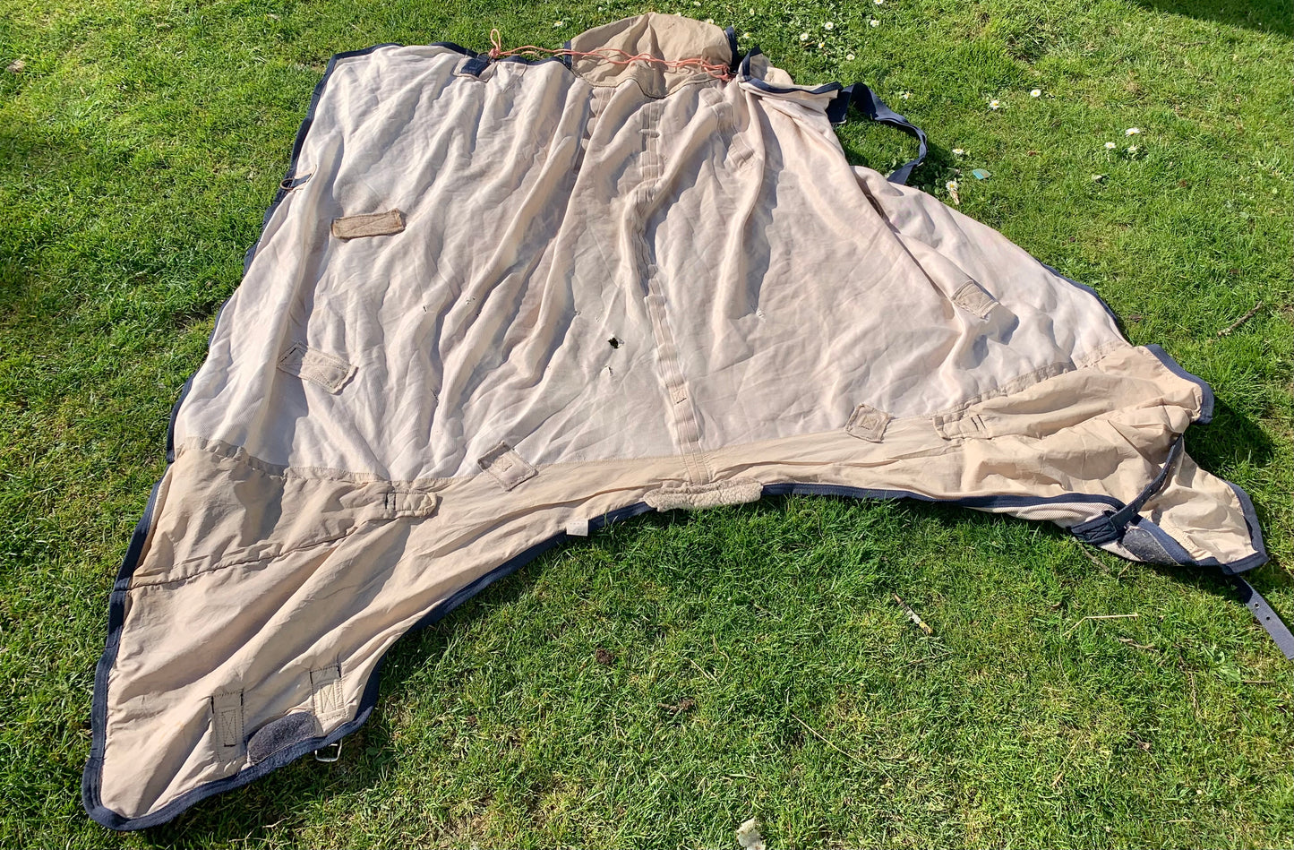 Cheap youngster/destroyer fly rug 6’3”