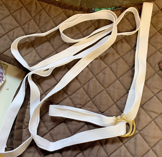 Web adjustable white in-hand show halter & lead  with brass fittings