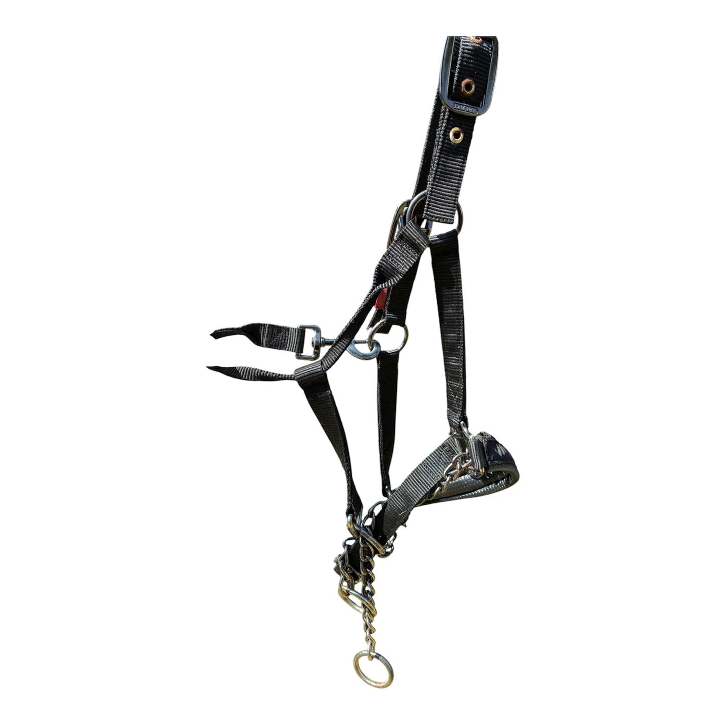 LeMieux ProSafe Headcollar - full size