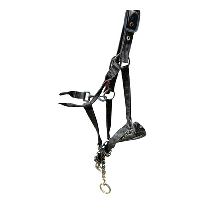 LeMieux ProSafe Headcollar - full size