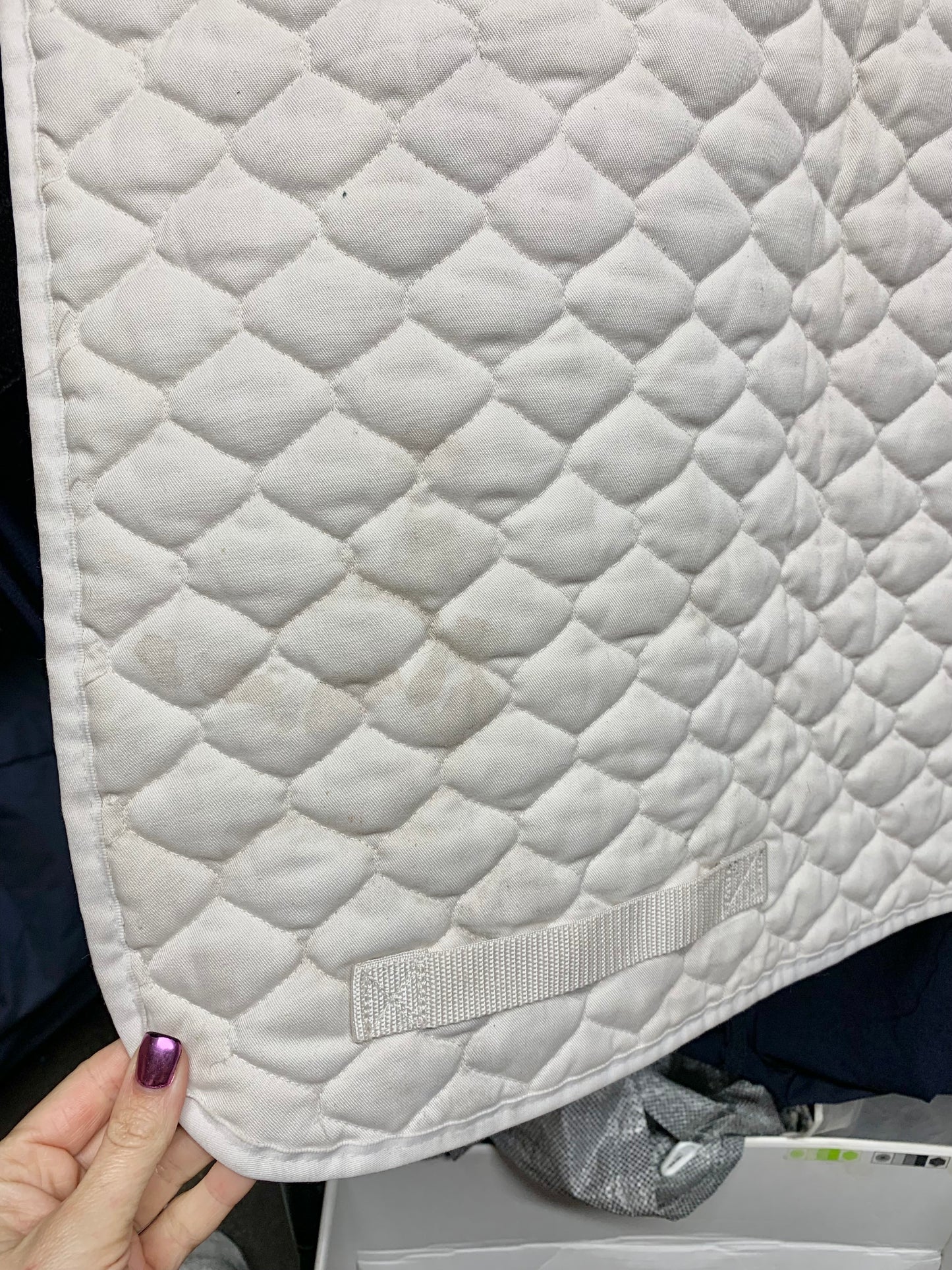 White stretch flex dressage saddle pad size full