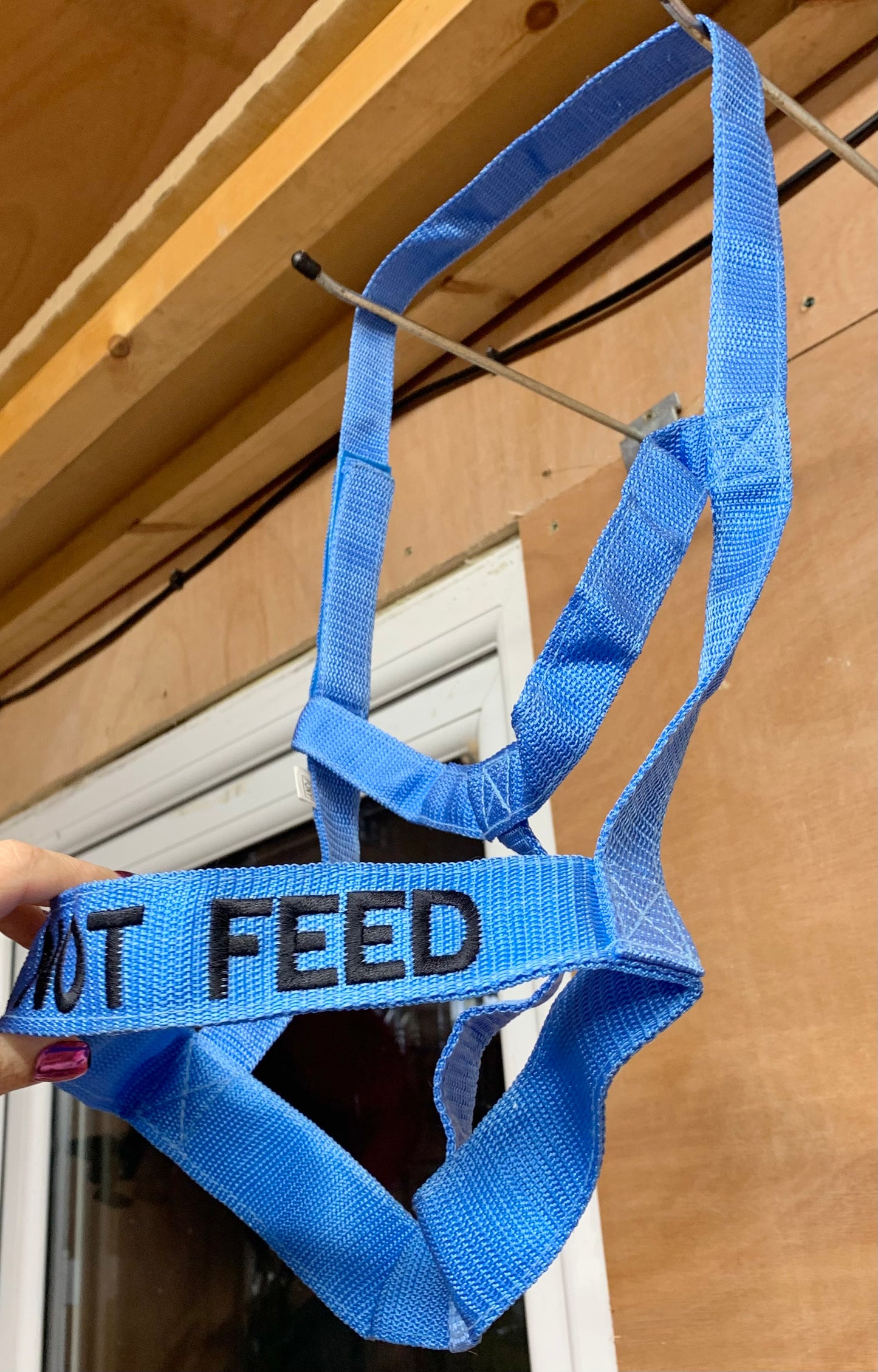 NEW “DO NOT FEED” VELCRO CLOSURE FIELD SAFE HEADCOLLAR PONY SIZE BLUE