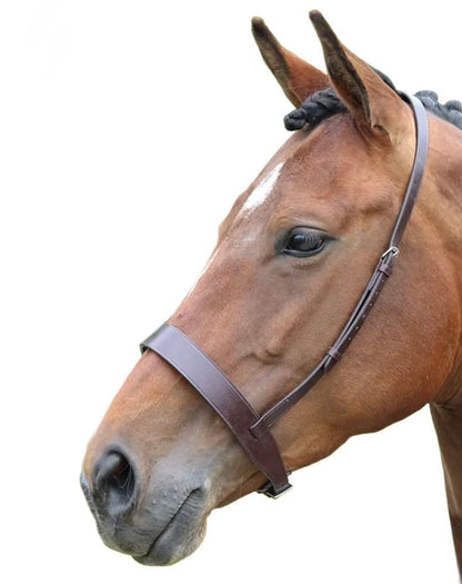 New in packet Blenheim Hunter NoseBand Havana extra full XF