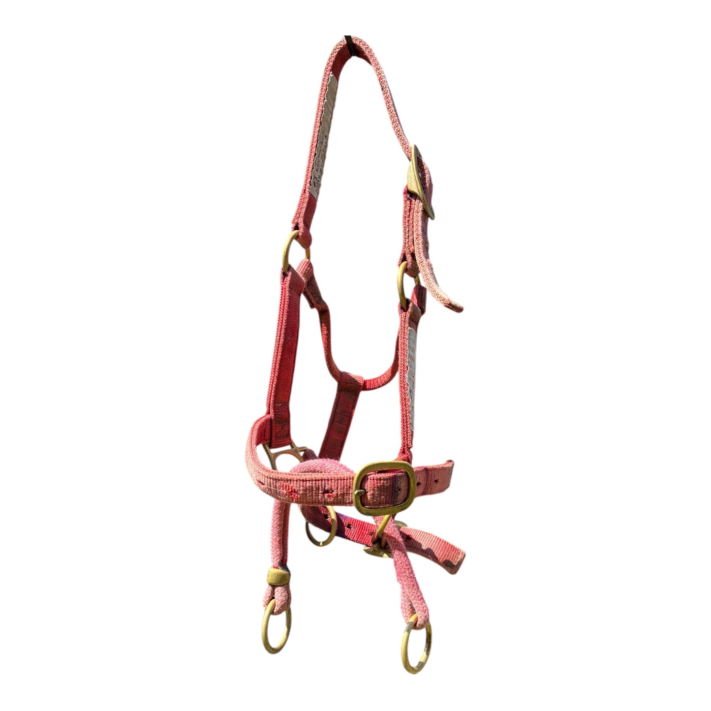 OFFICIAL MONTY ROBERTS DUALLY RED (SMALL SIZE)